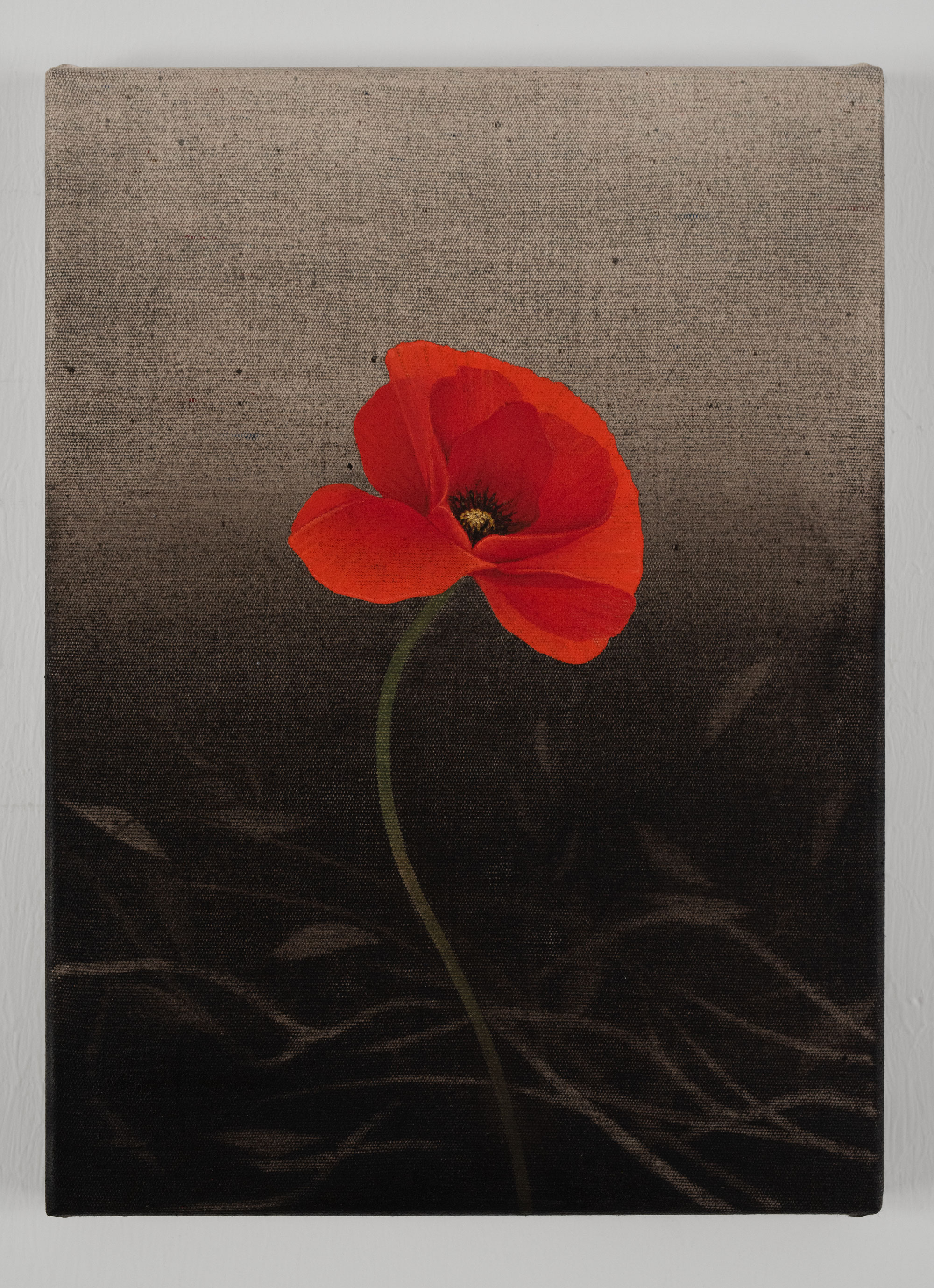 Resistere (papavero) 2025, mixed media on cotton, 33x24cm