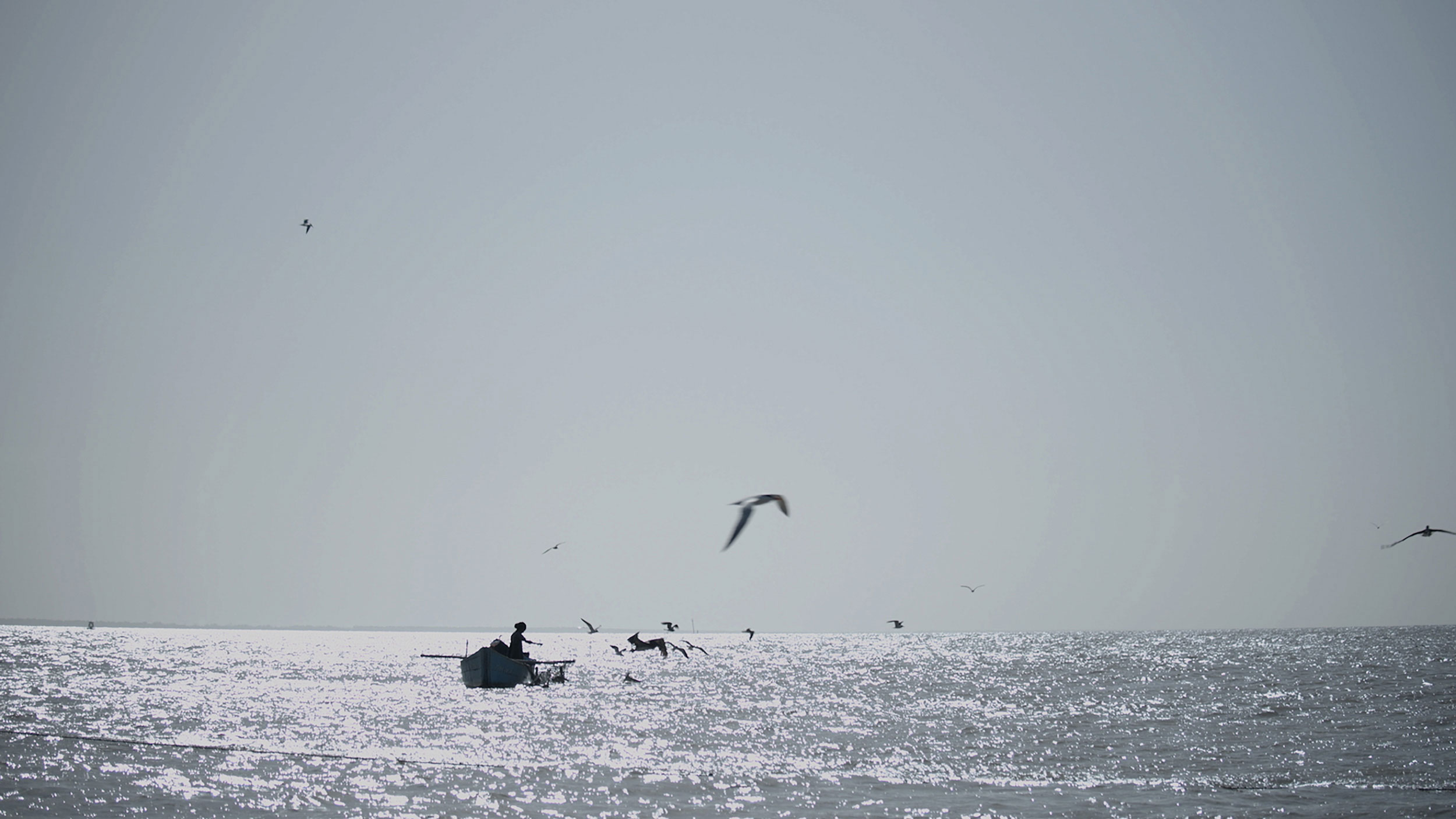 Misty Man, 2024  Still