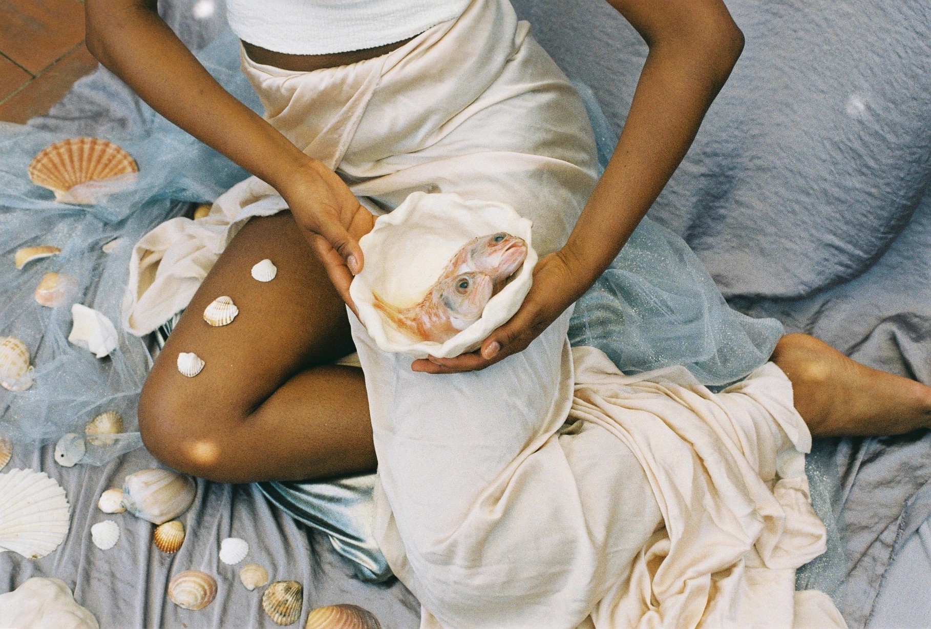 // fossili marini on set for azar studio