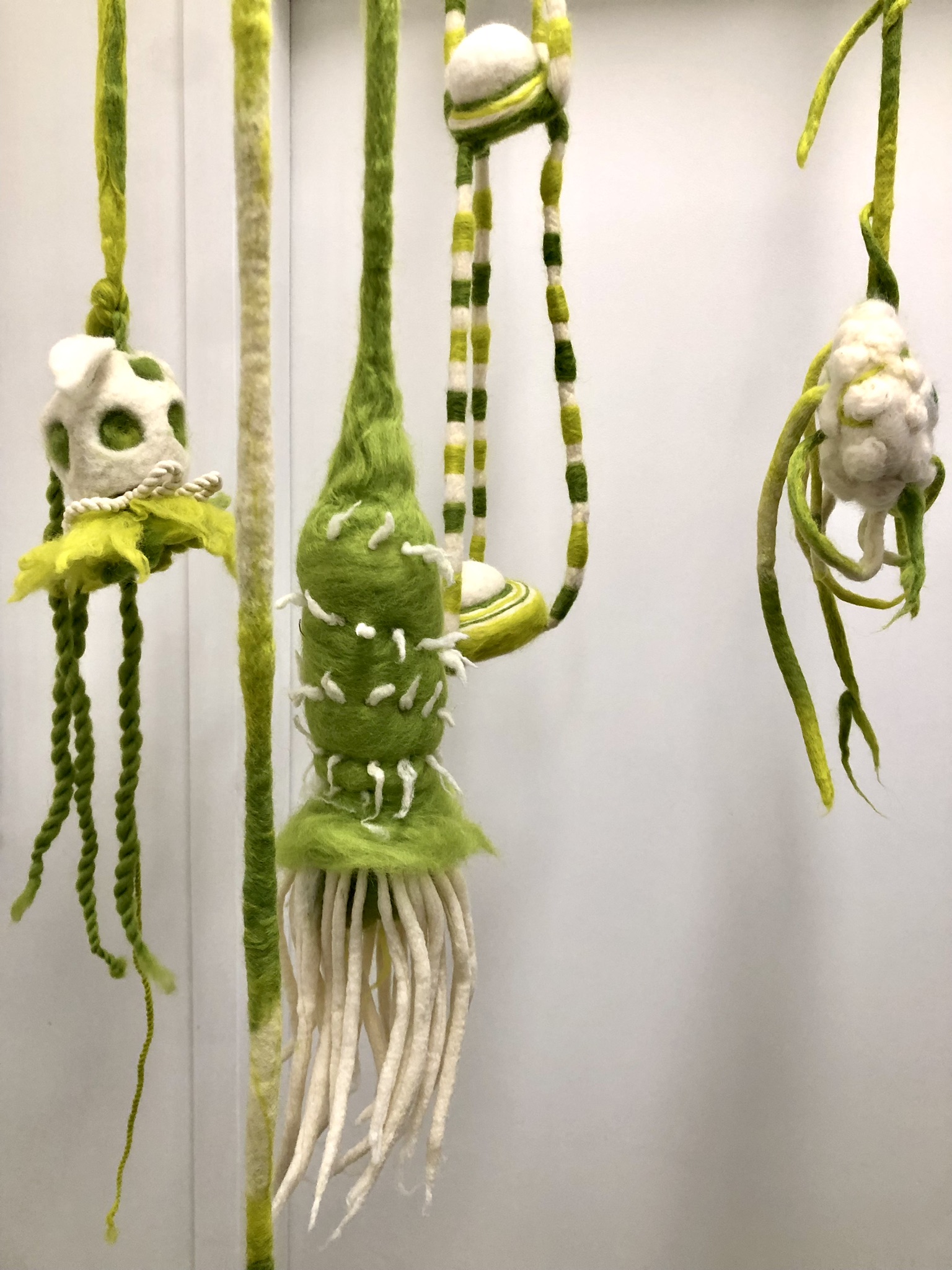 "Flourished Earth" Intertwined Collective