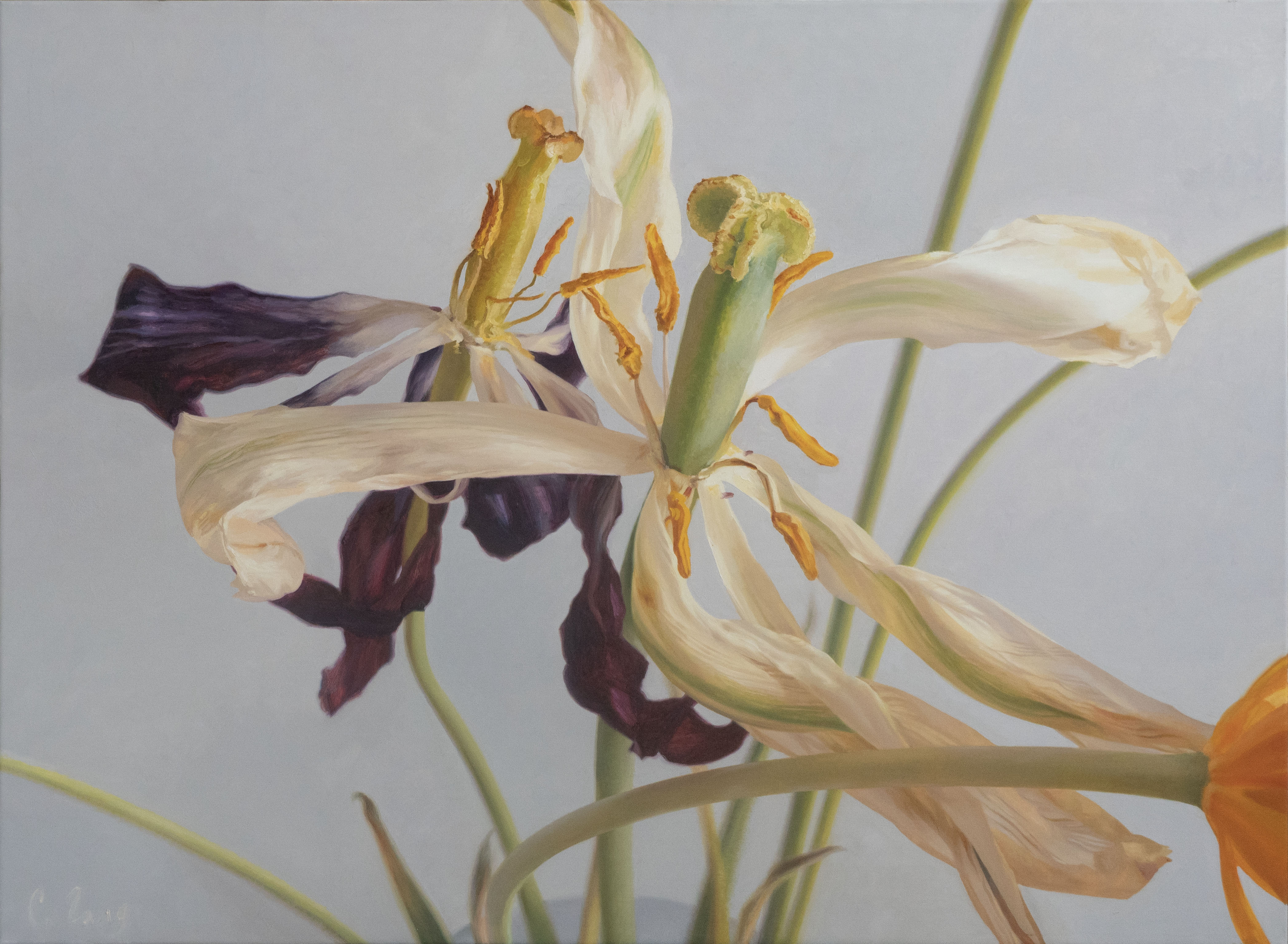 'Nudity', 85*115 cm, oil on canvas