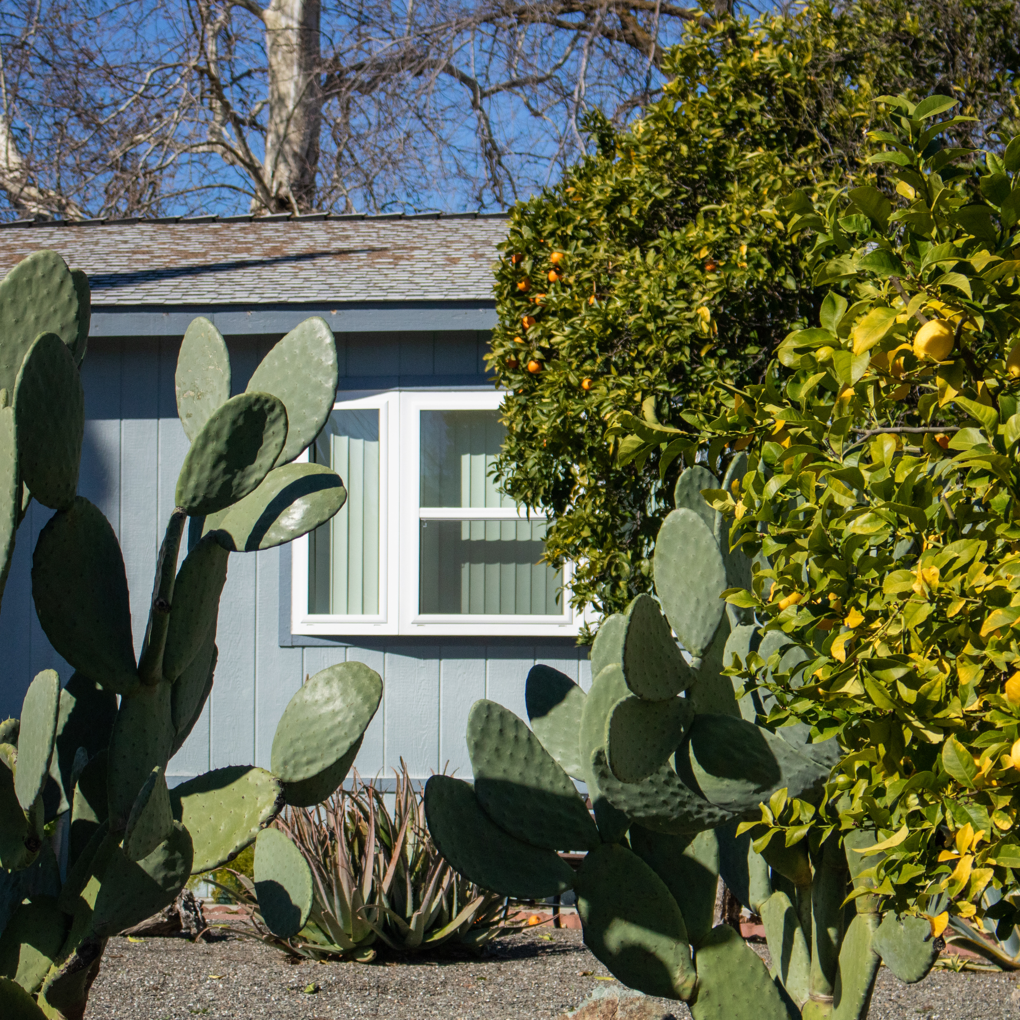 Sacramento, CA. July 2020.