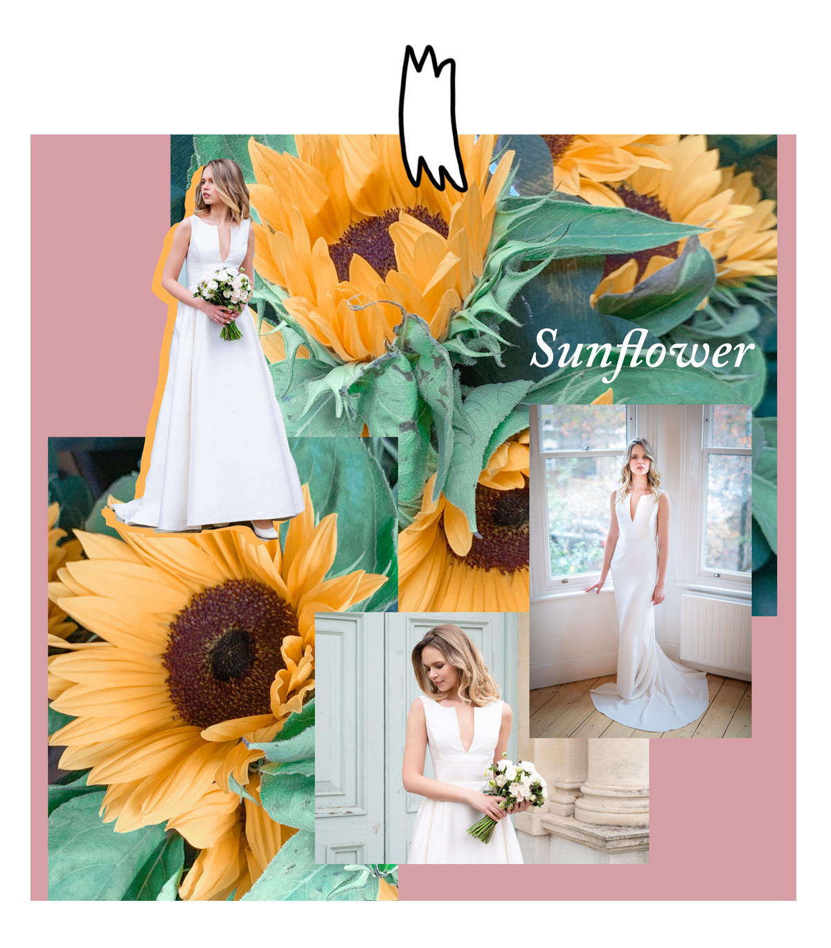 Social Media Branding