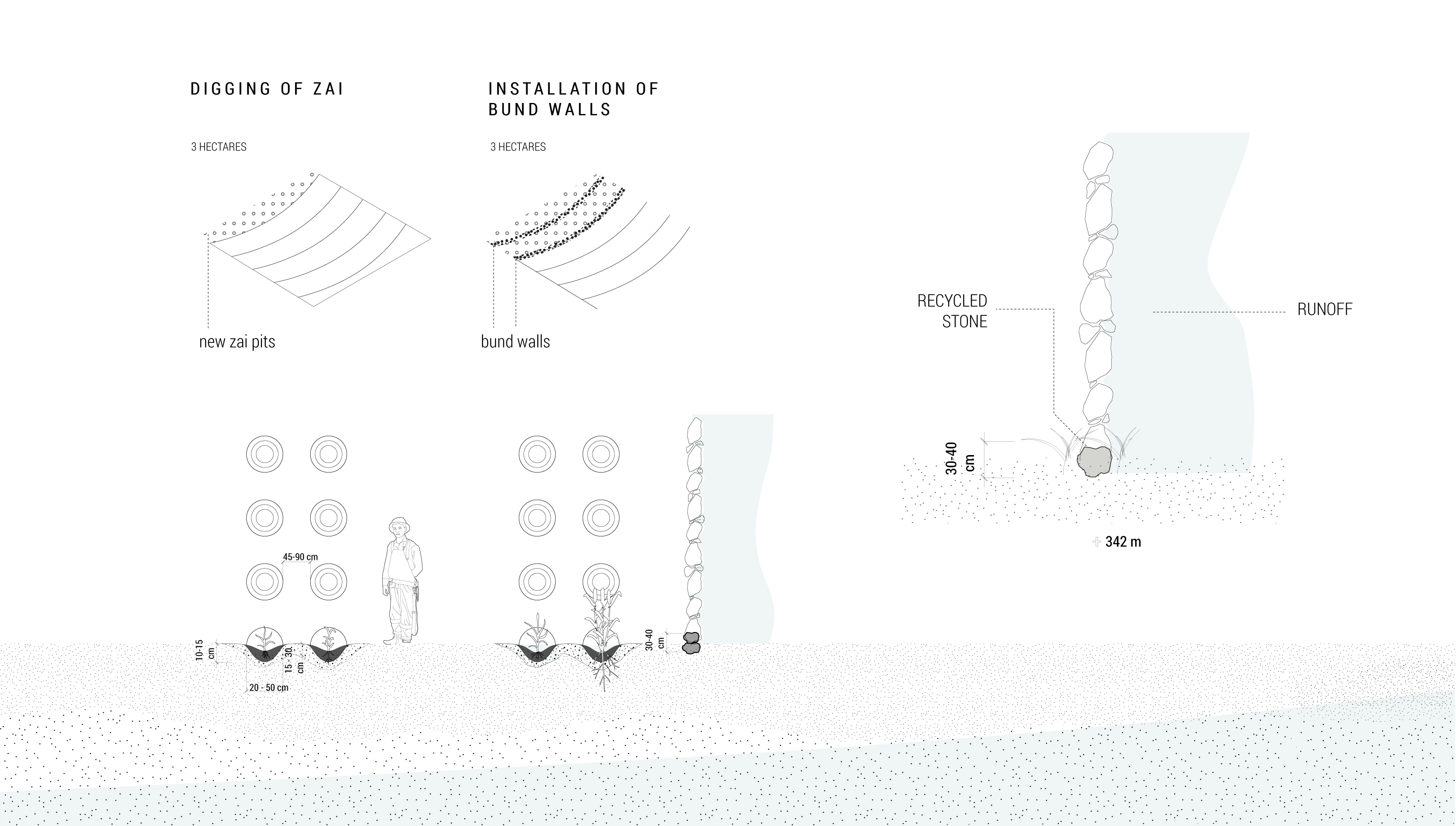 Fig. 34. Zai pit construction over a 7-10 year period: 2) farmers install low bund walls to capture water and seeds.