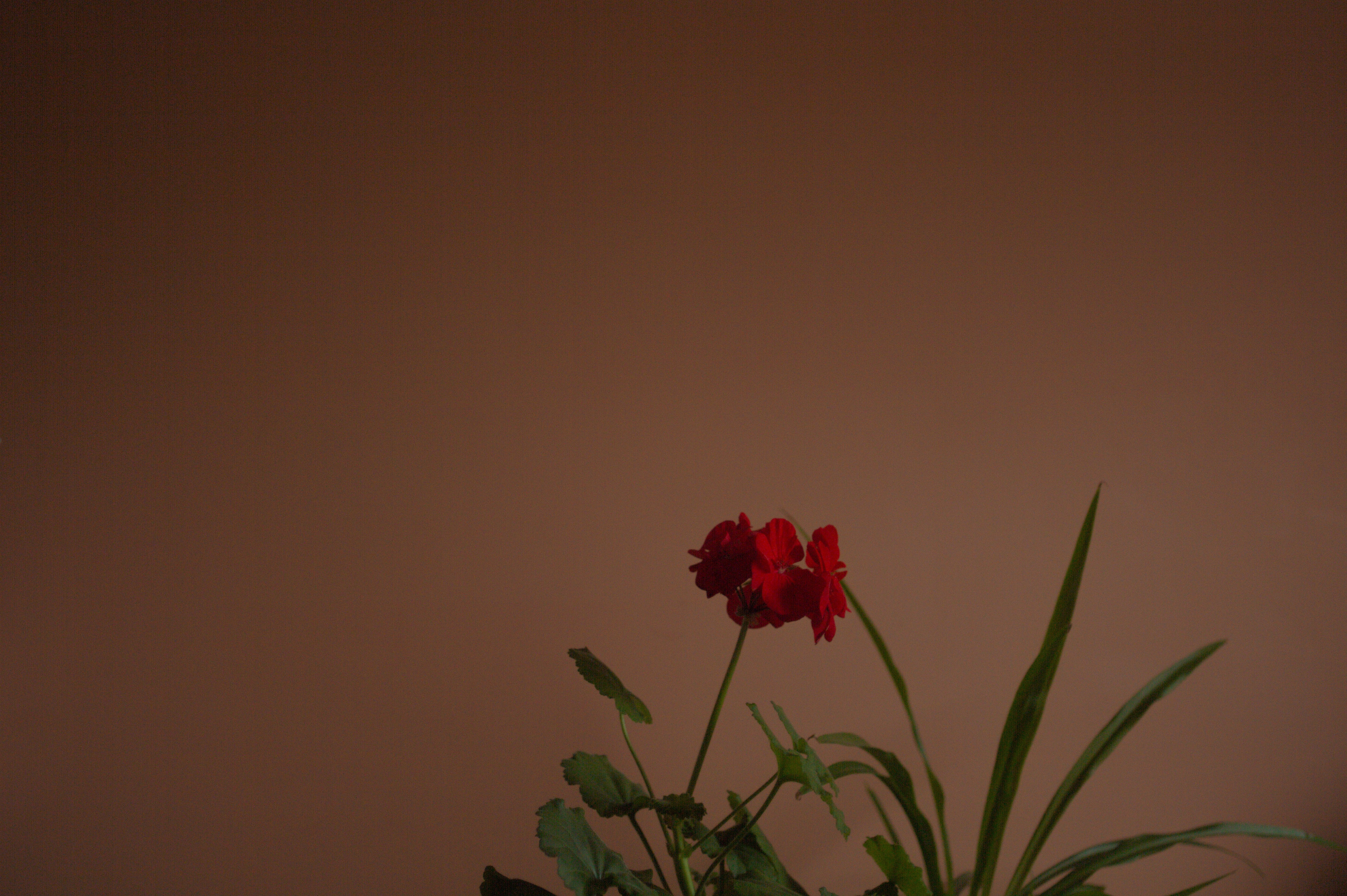 He gathers his legs to sit cross-legged on his revolving chair and takes more of his Americano from his 16oz bamboo cup