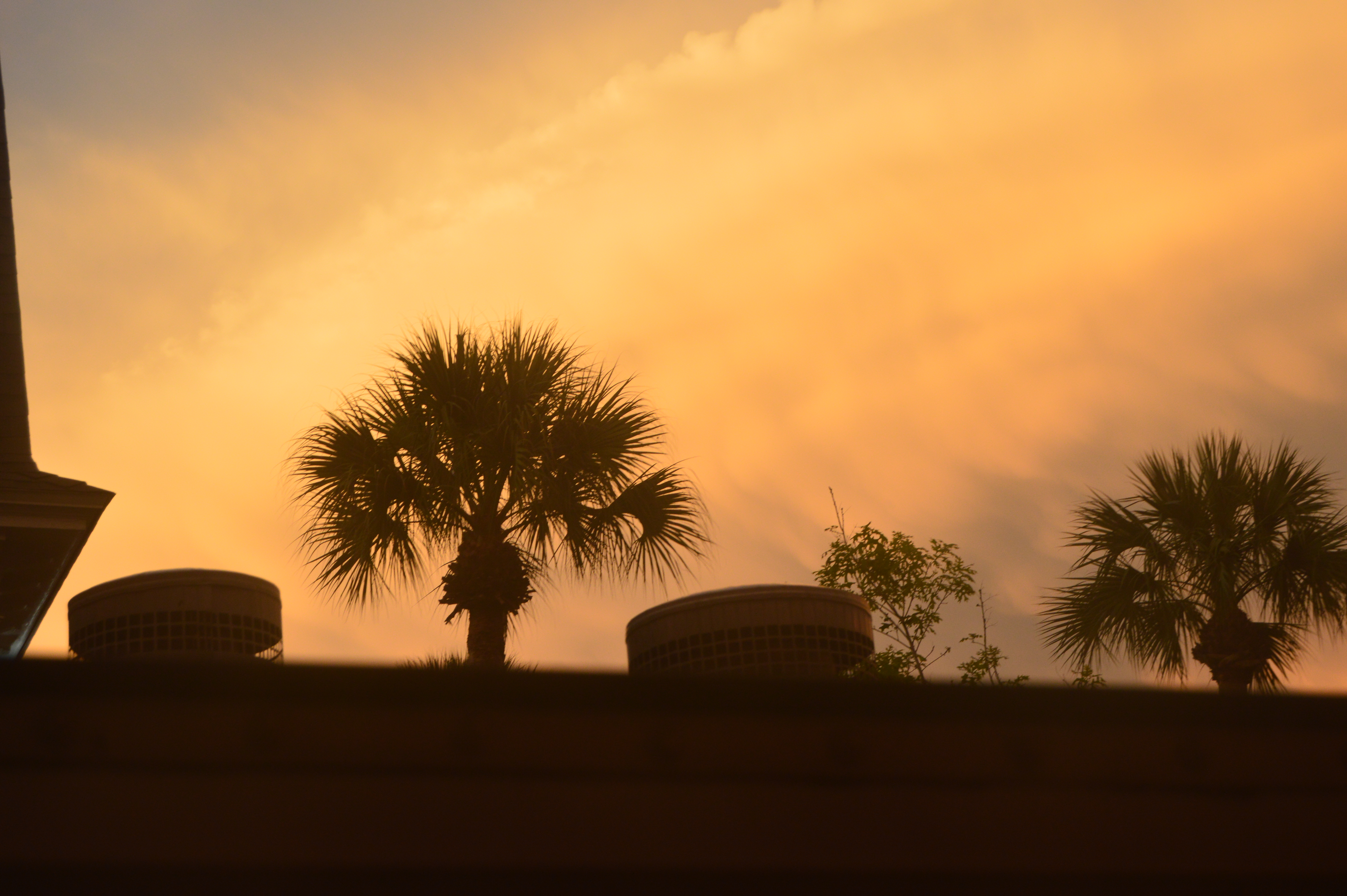 Stetson University, Deland, FL