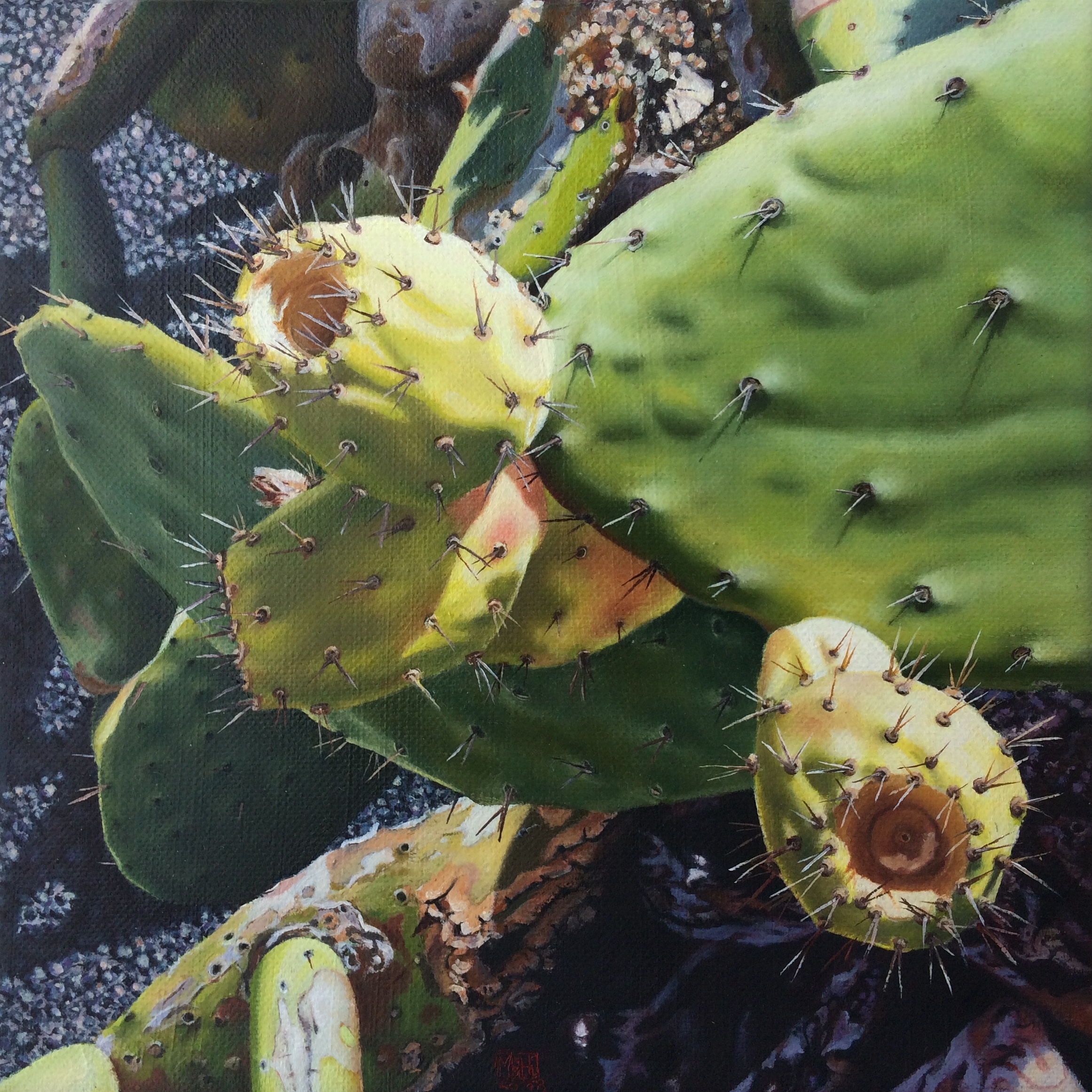 449–Feigenkaktus Nr.720×20 cmÖl auf Leinwand2018sold