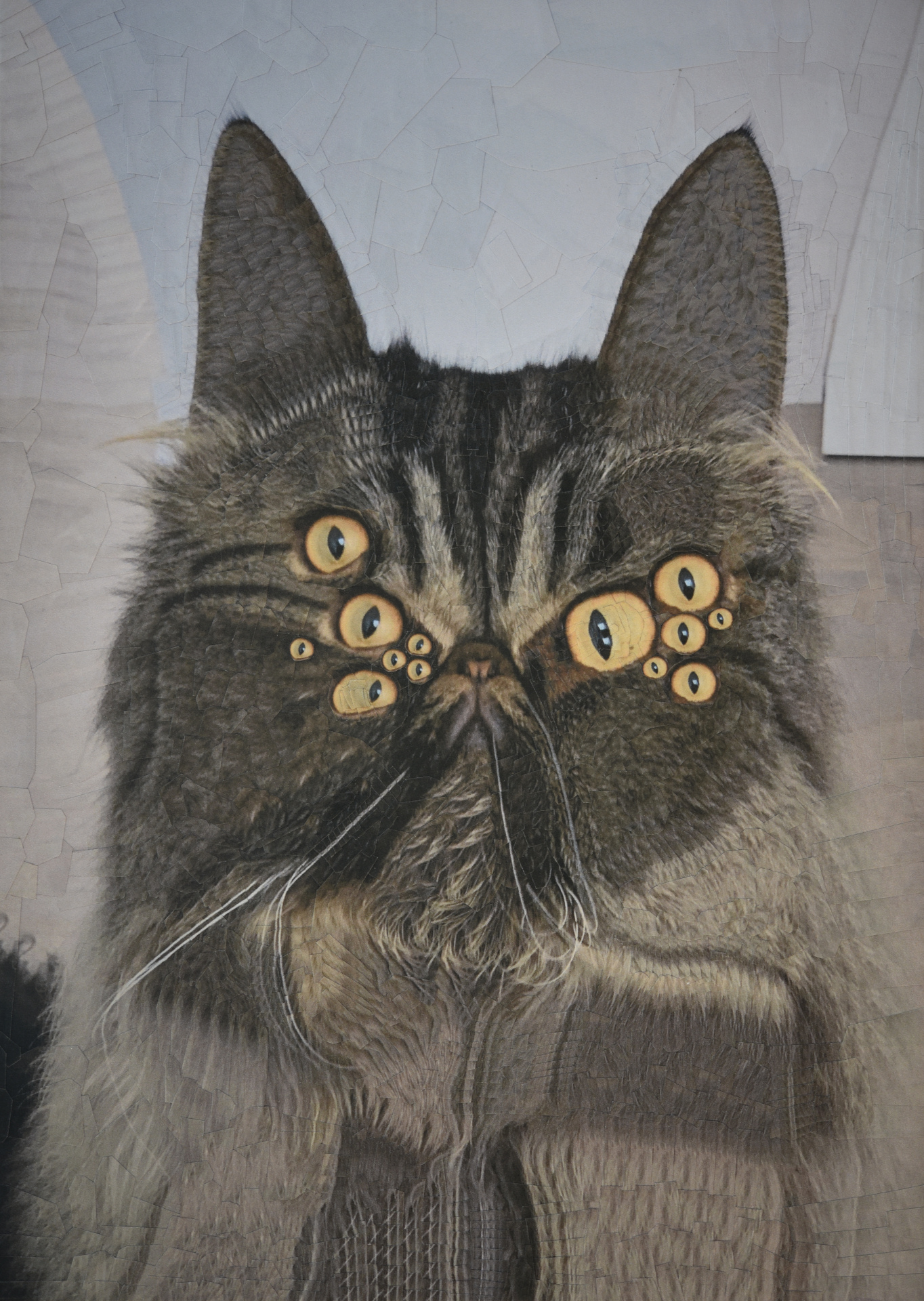 Wonton, 2020, 8.2 x 11.6 inches