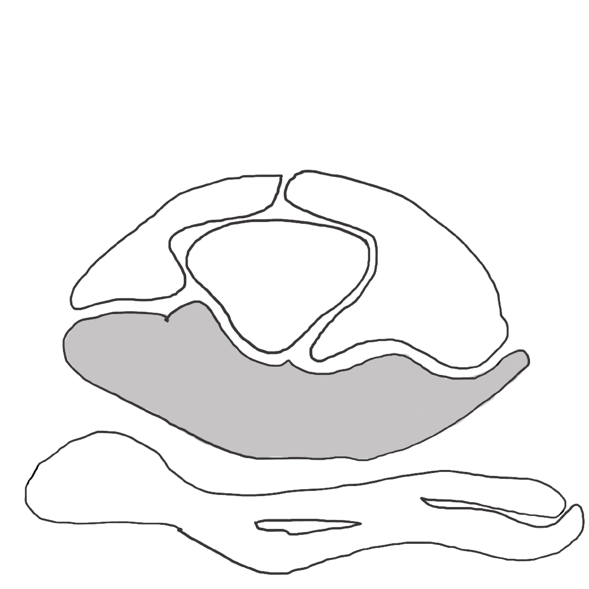 Hidden conections - visible ecologies