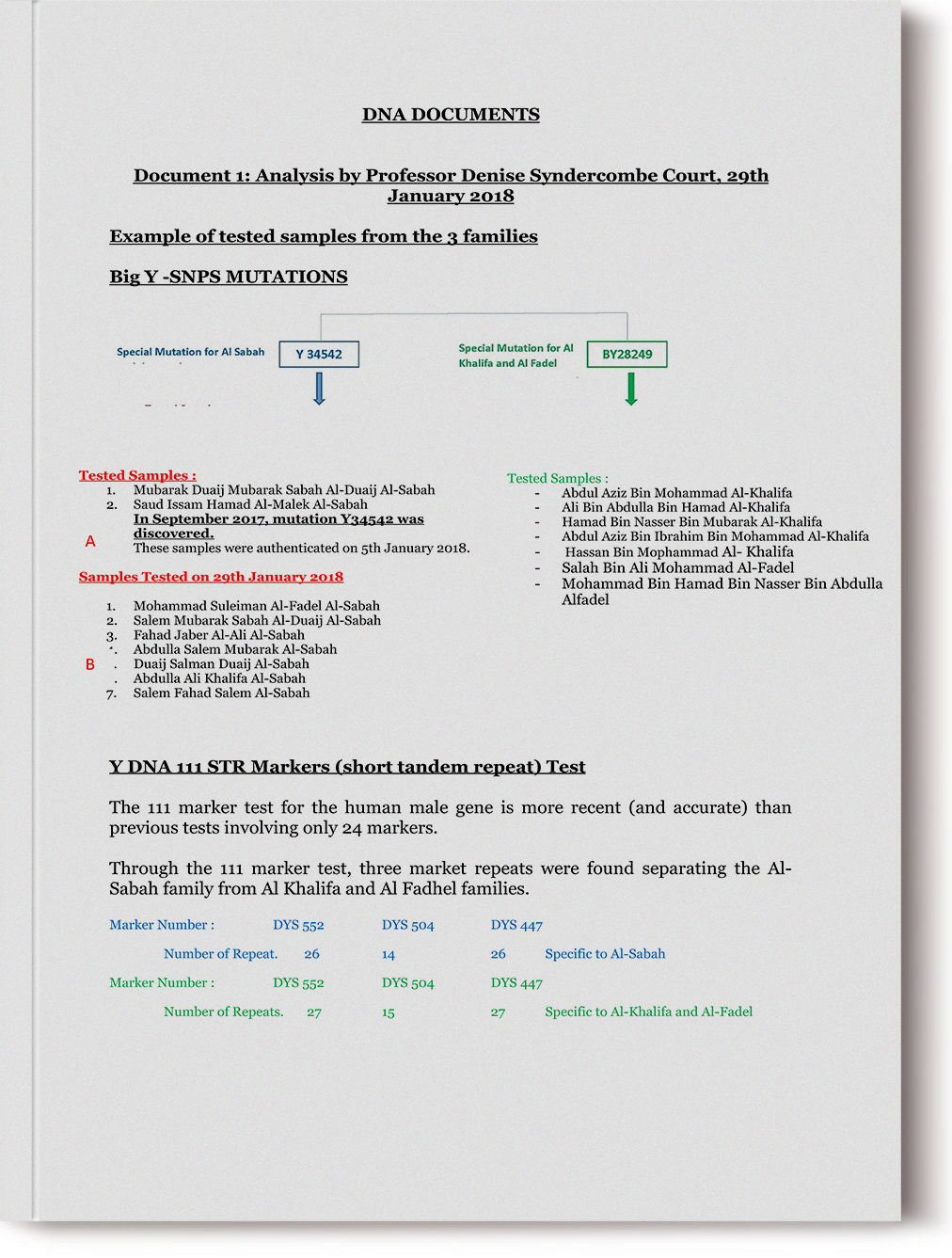 Document 1: Analysis by Professor Denise Syndercombe Court, 29th January 2018