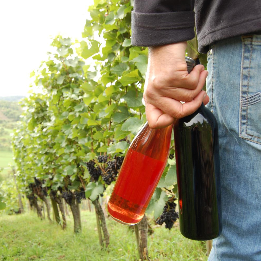 Thomas mit zwei Weinflaschen, Breitenholzer Hinterhalde