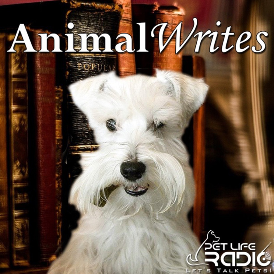 ︎ EP. Animals open door to sensory abilities of humans