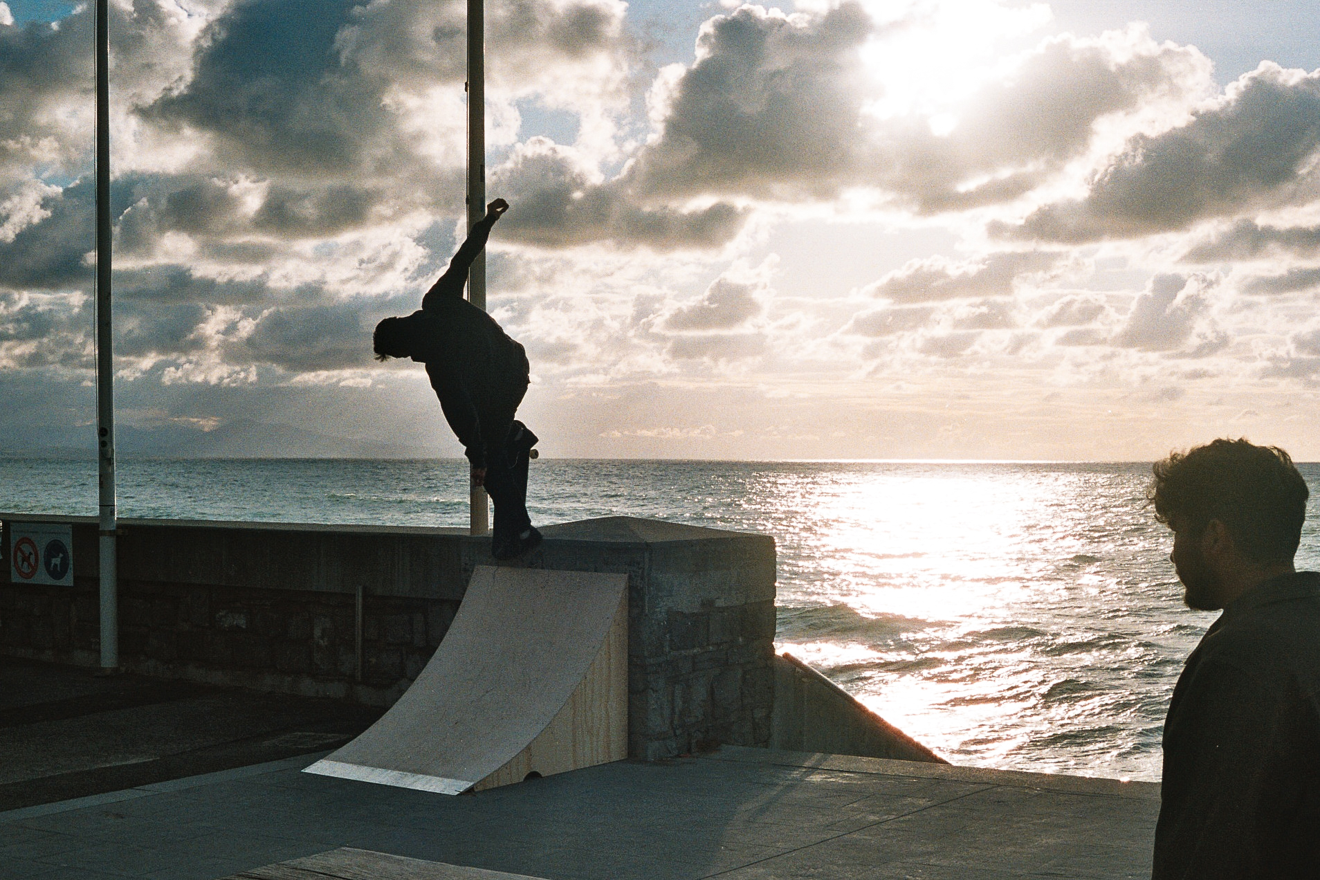 Adidas Skateboarding For Wallstreet Skateshop