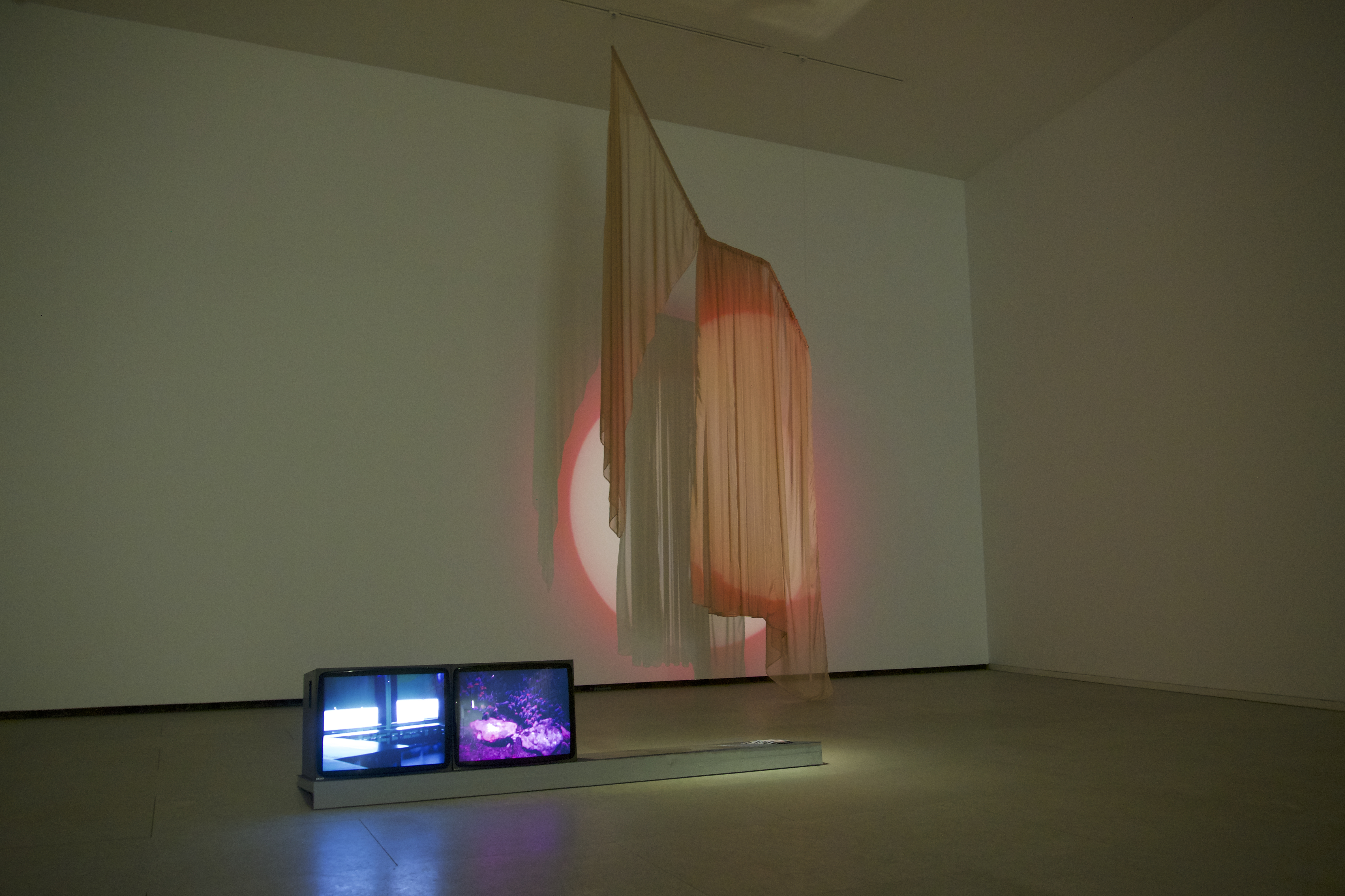 Geometria Sónica CIAJG, Guimarães 2021