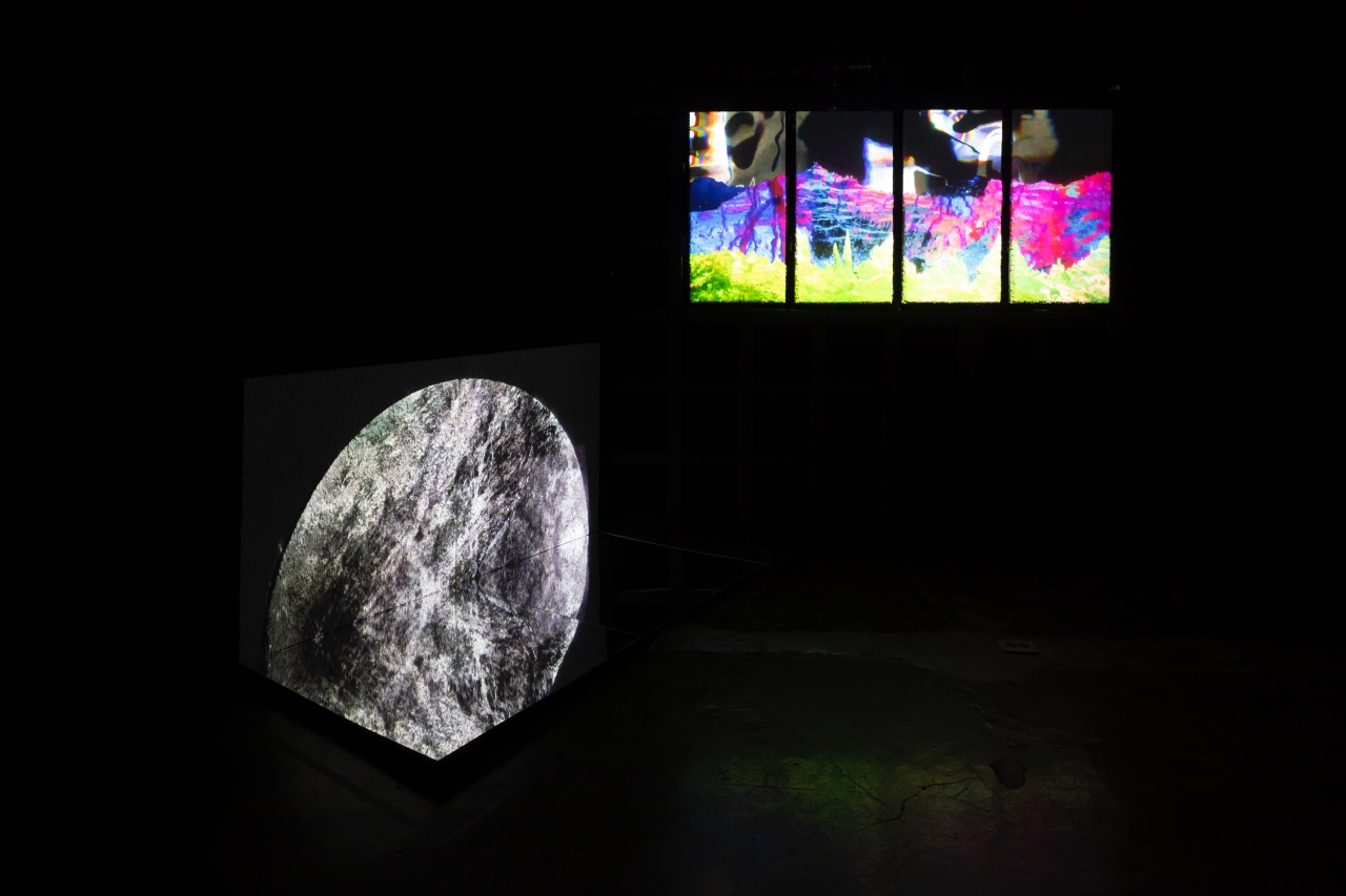 나는 한 번도 도시를 벗어나지 못했다_2020-22