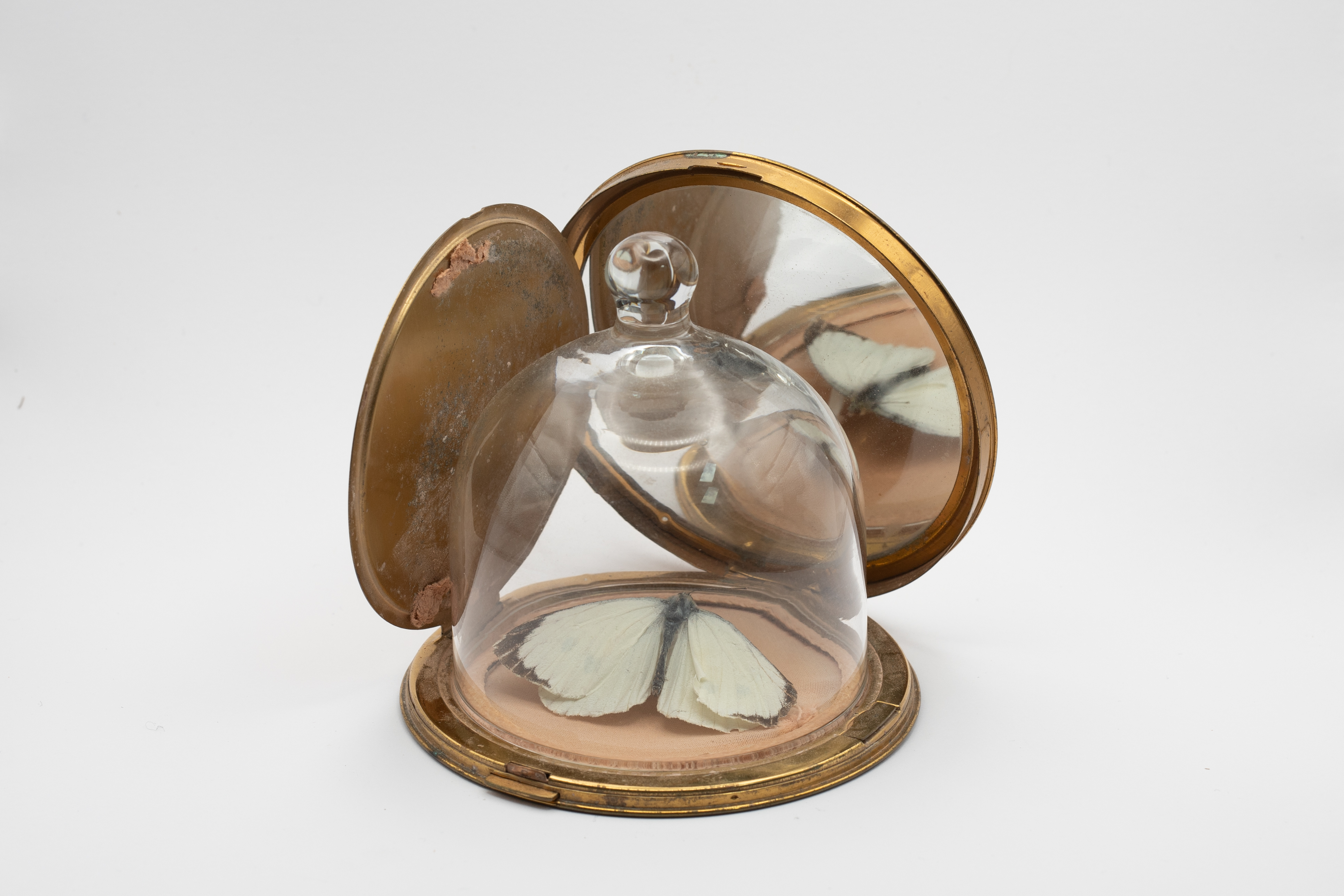 UntitledMixed Media with a butterfly9.5 x 12 x 9.5 cm