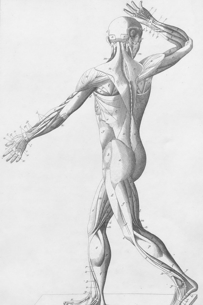 original image by Europeana