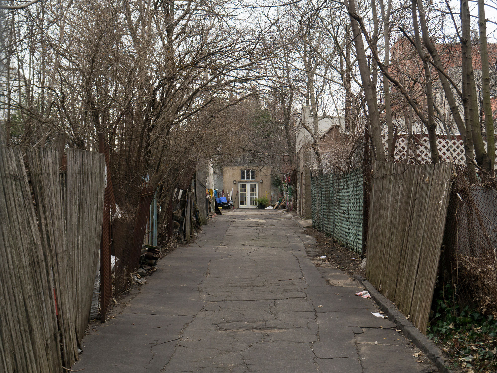The hidden alleyway leading to the watcher's house, or so they say. Leafless branches bow down in its presence.