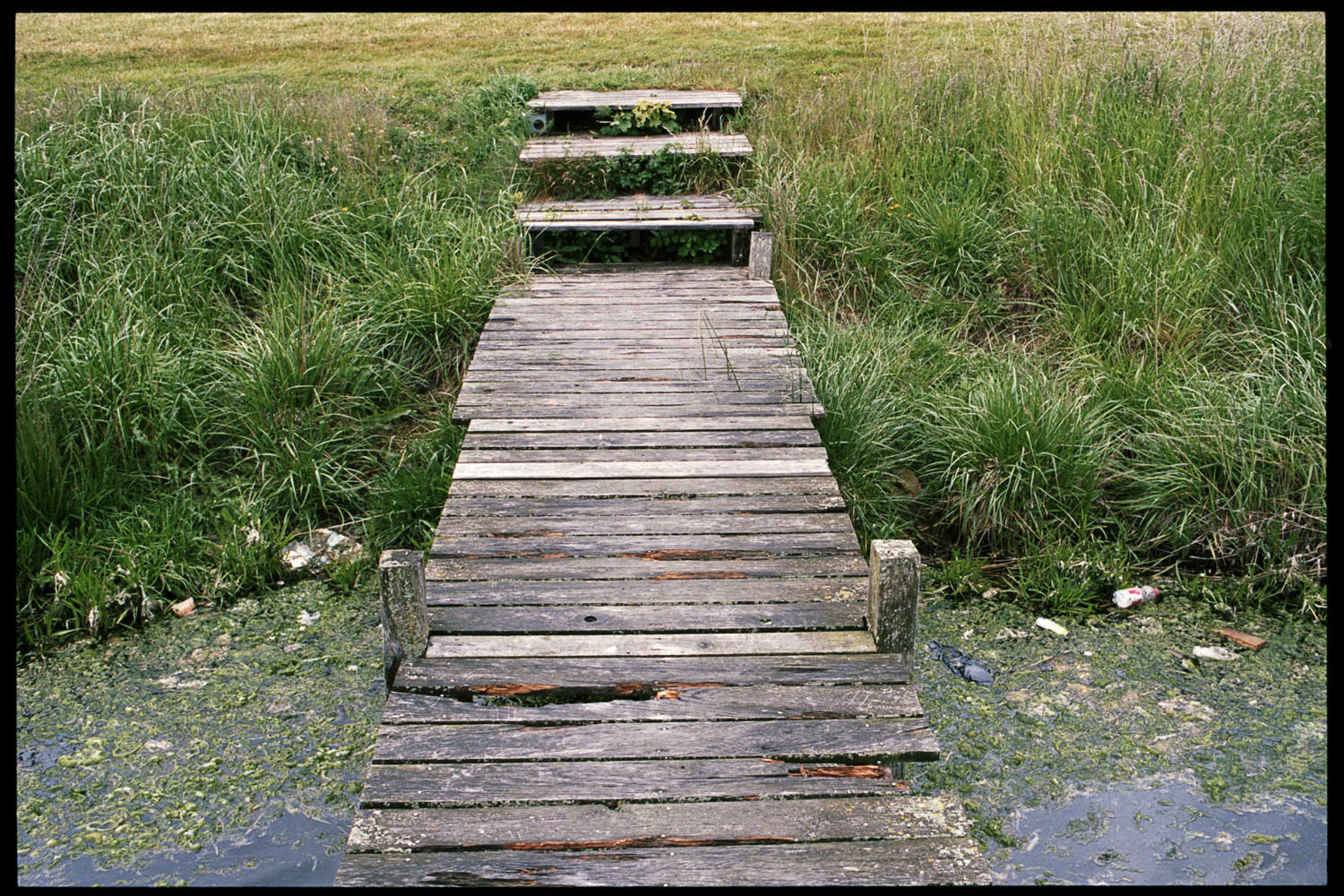 2015 Roskilde Danemark