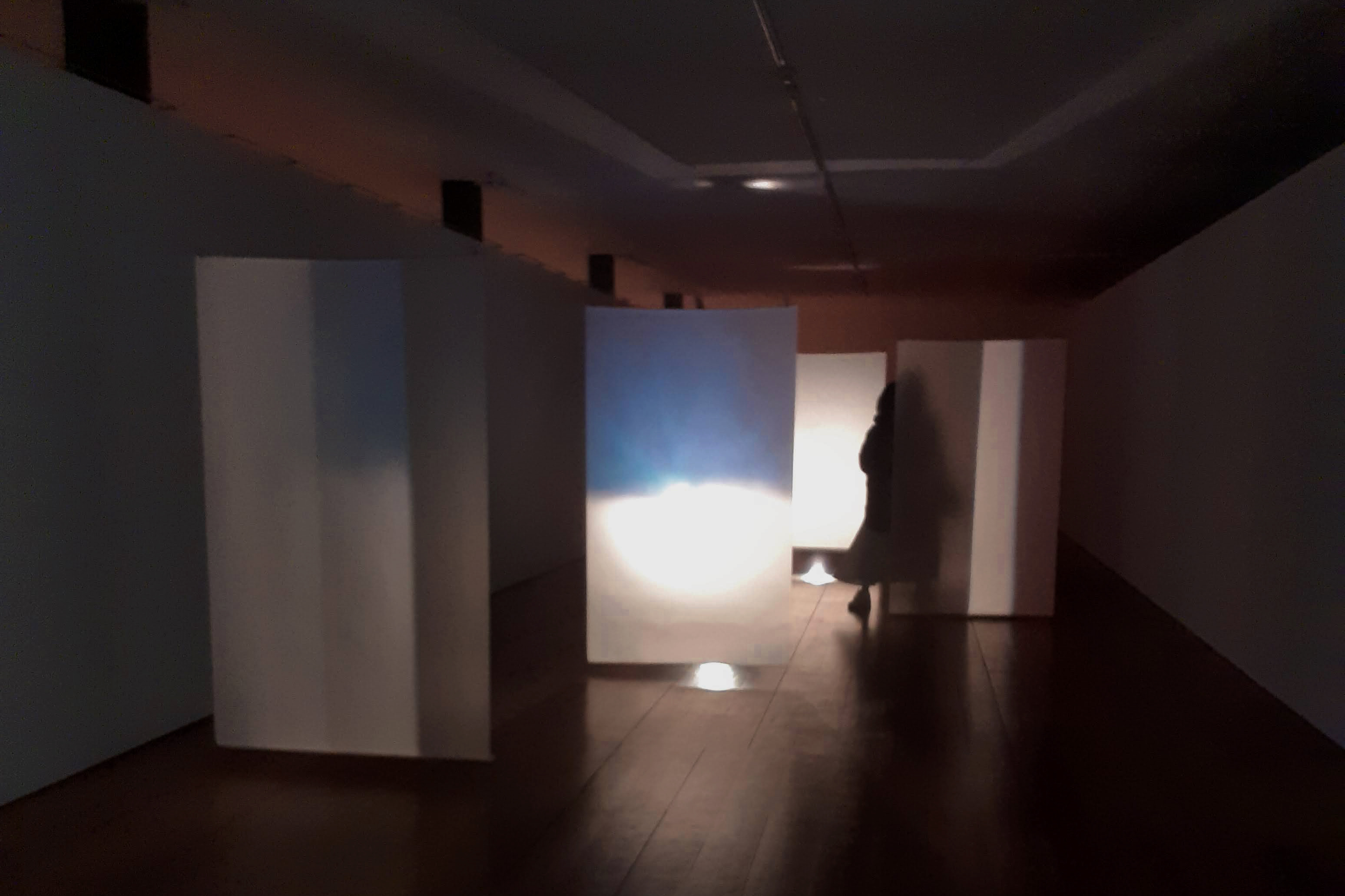 Como plantar um penedo, 2022