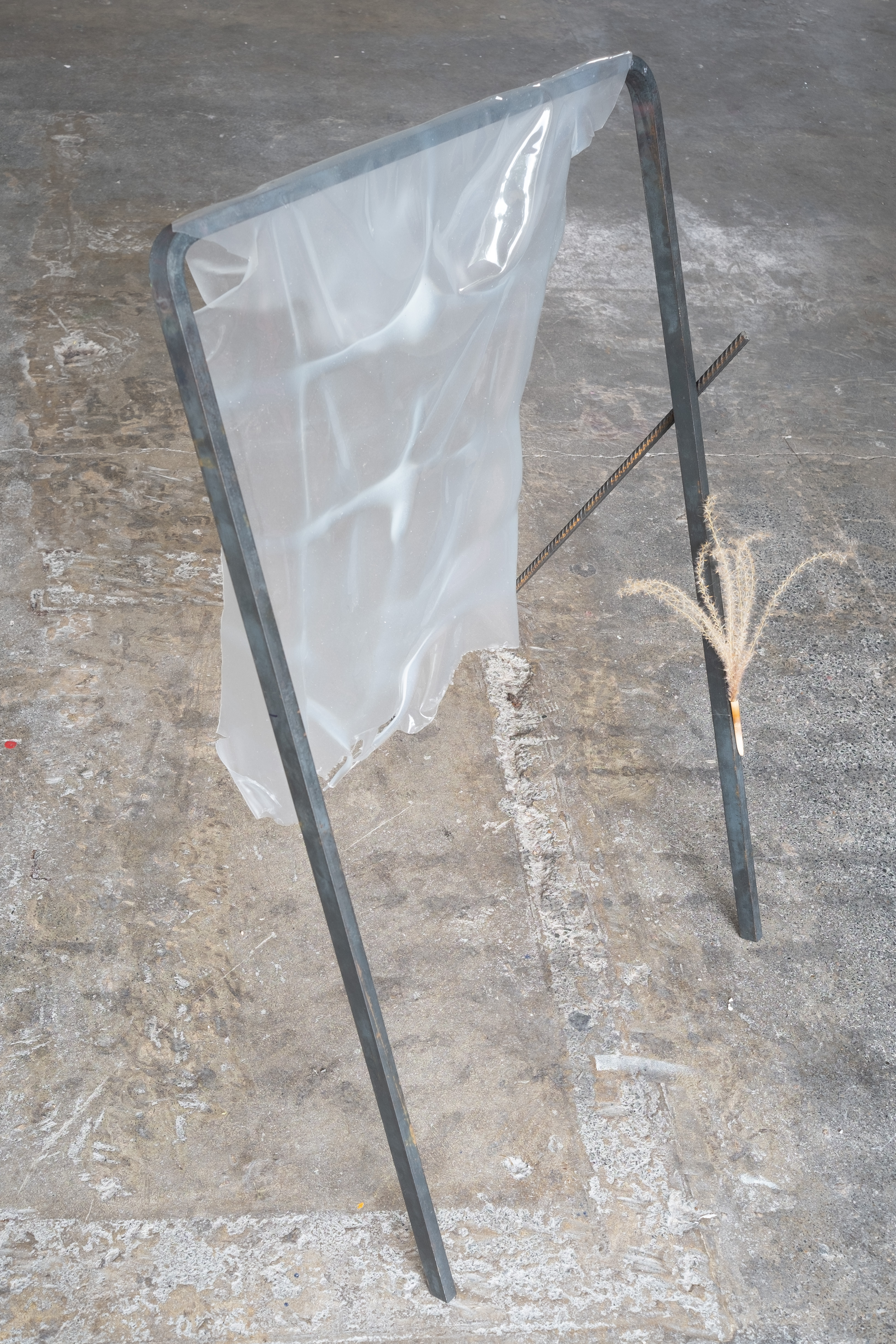 Tickle Me, 2022, silicone, mild steel and ornamental grass". Jasmine Pajdak