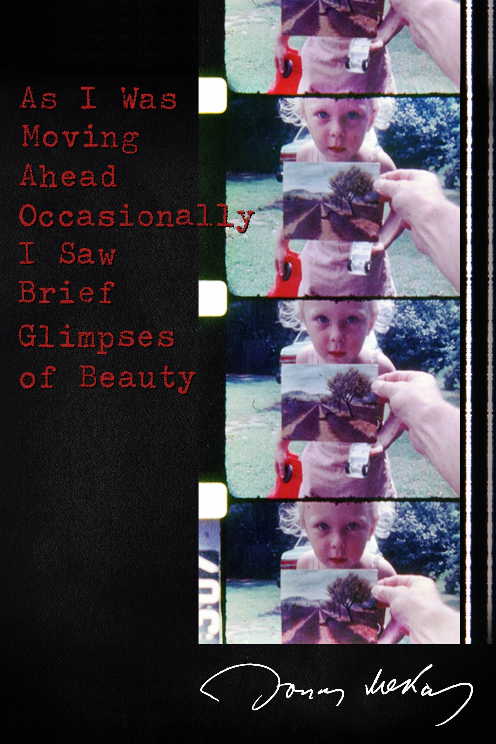 As I Was Moving Ahead Ocassionally I Saw Brief Glimpses of Beauty - 2000
