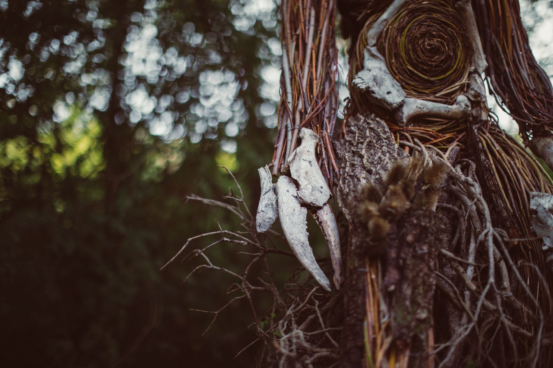 ph: Francesco Buccarelli