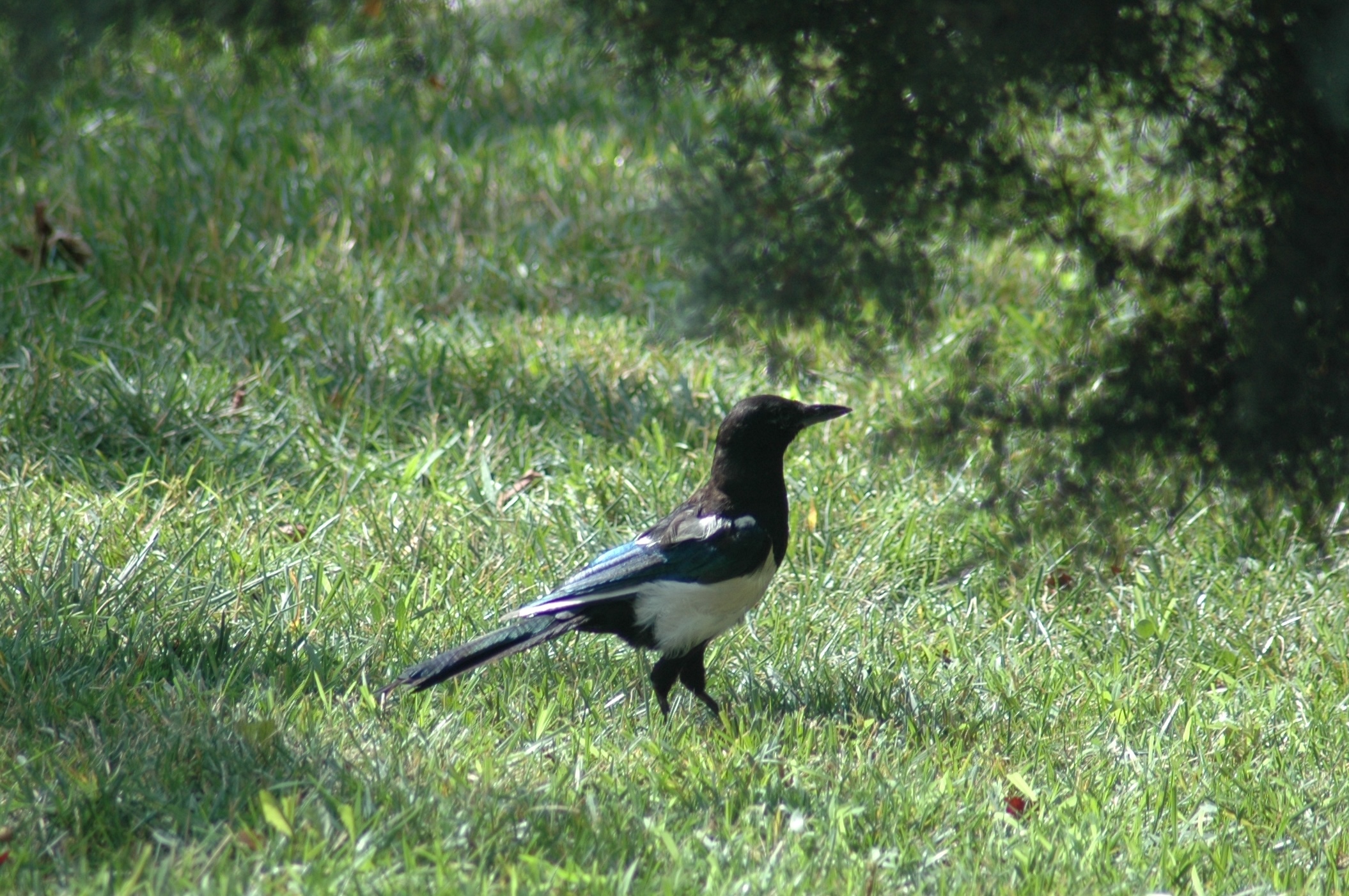 20.09.2020, Lojmanlar