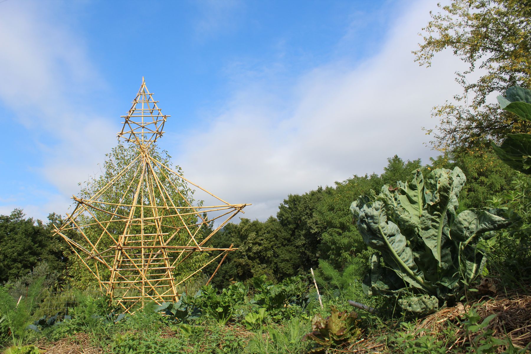 ph: Rebecca Sforzani