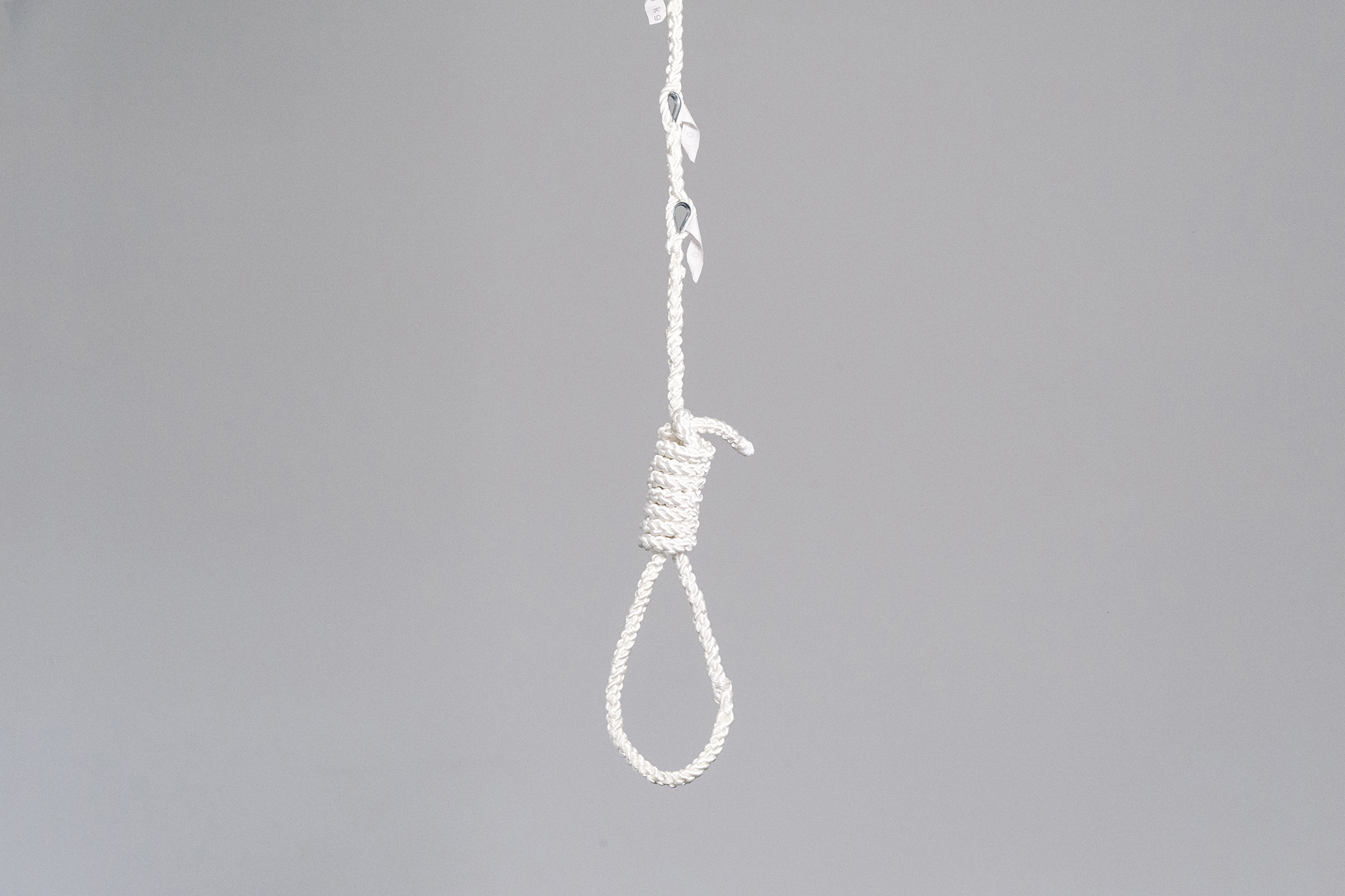 SUICIDAL INSTRUMENTS by Julius Führer