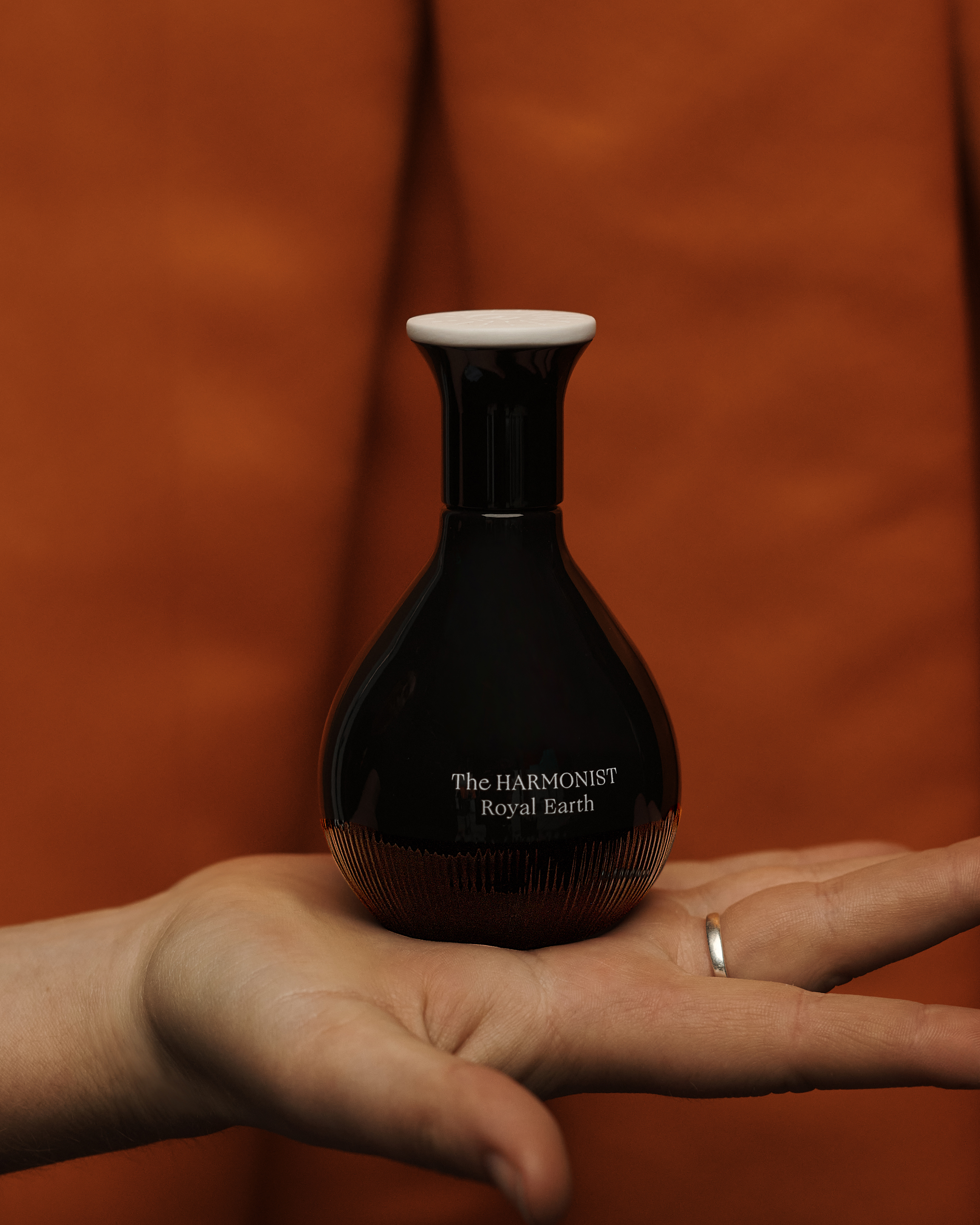 The Harmonist photographed by Paolo Di Lucente