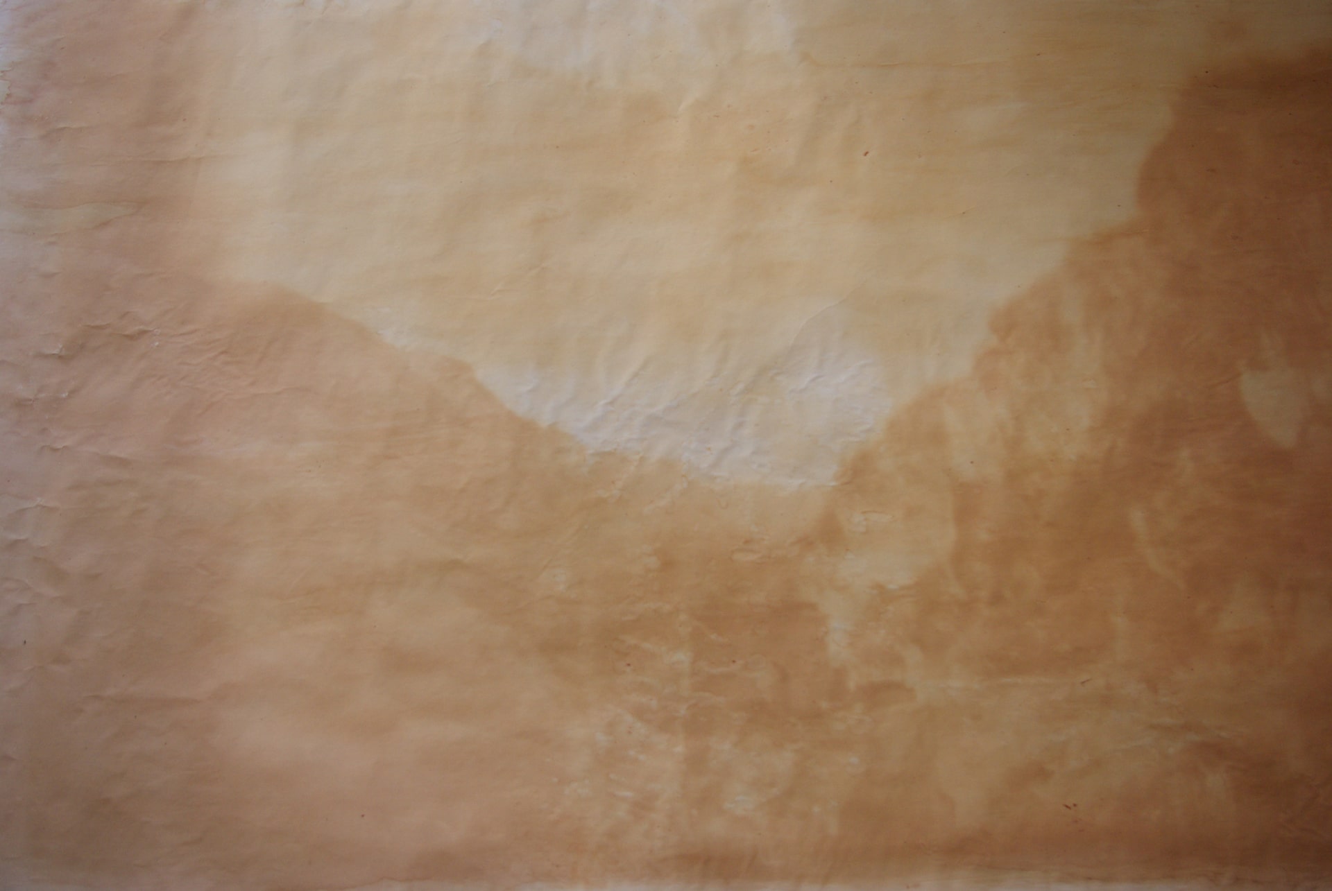 Delphine Wibaux, Absorption, octobre 2020. Solution végétale sur papier blanc mat Fabriano Accadémia sans solvant ni acide134x290