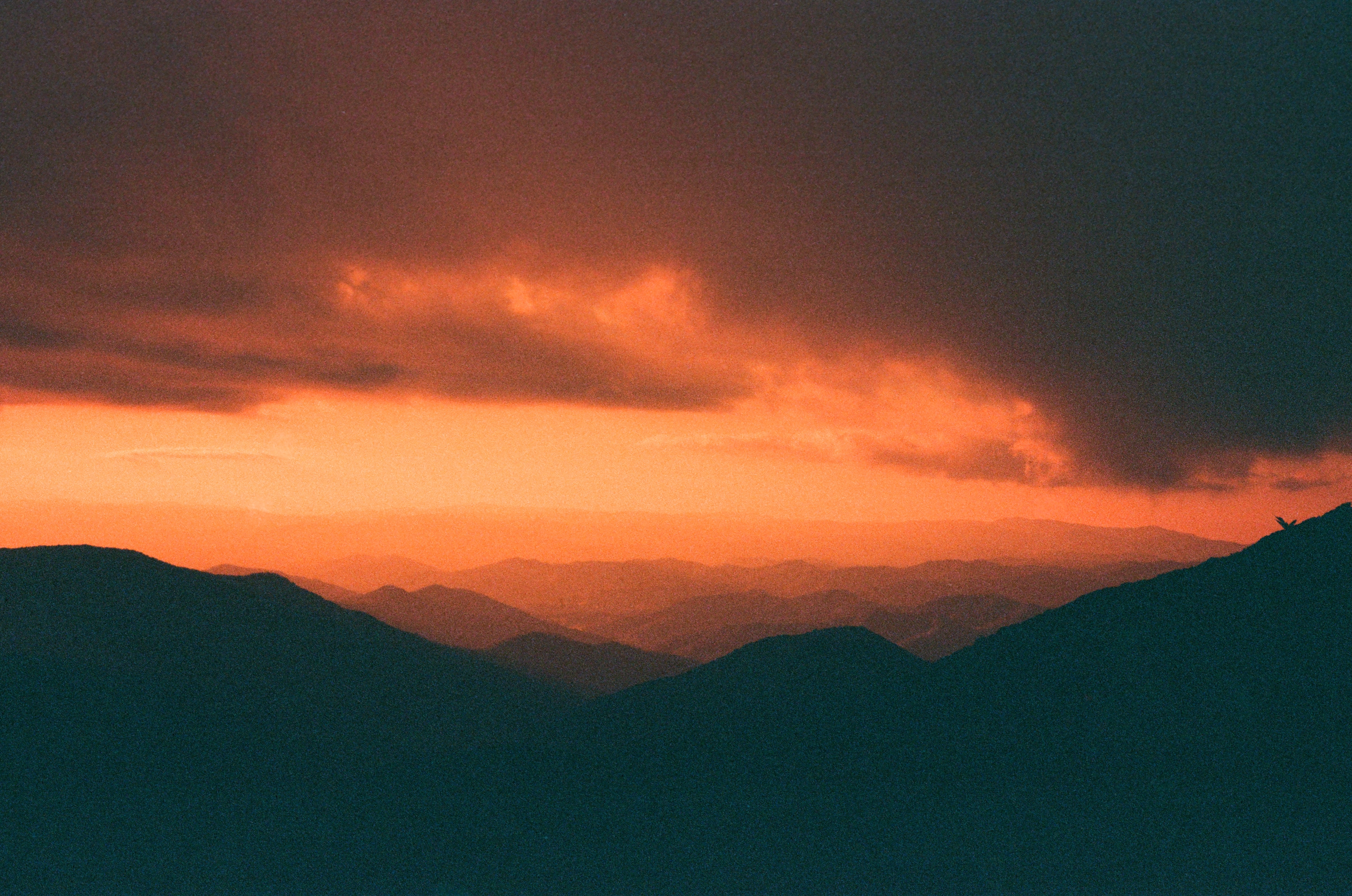 Expired Lomography Redscale