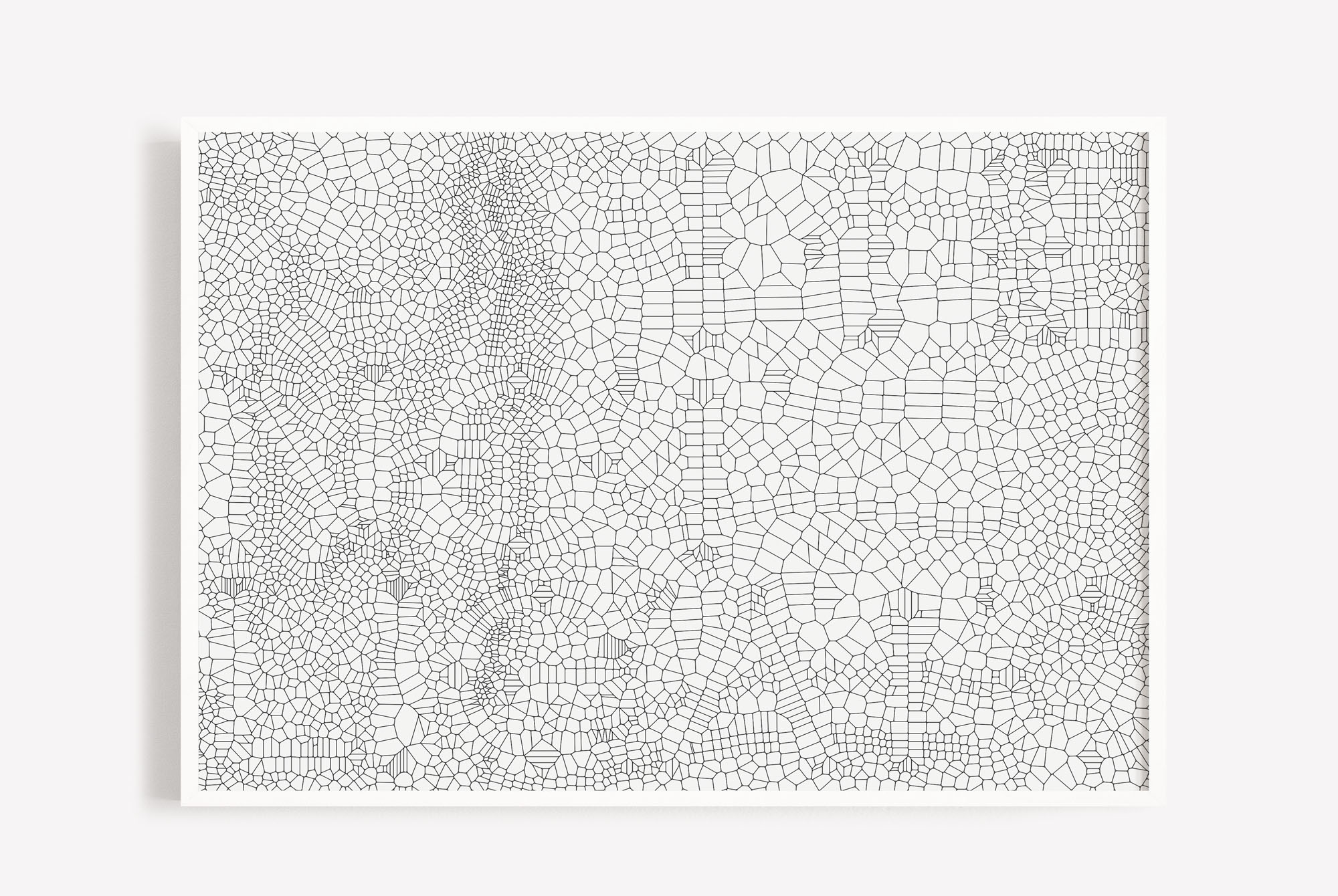 DNFA	69	Edition of 7 35"x50" (88cm x 125cm) Pigment print on Hahnemühle Rag Paper  Framed  Ask for pricelist 