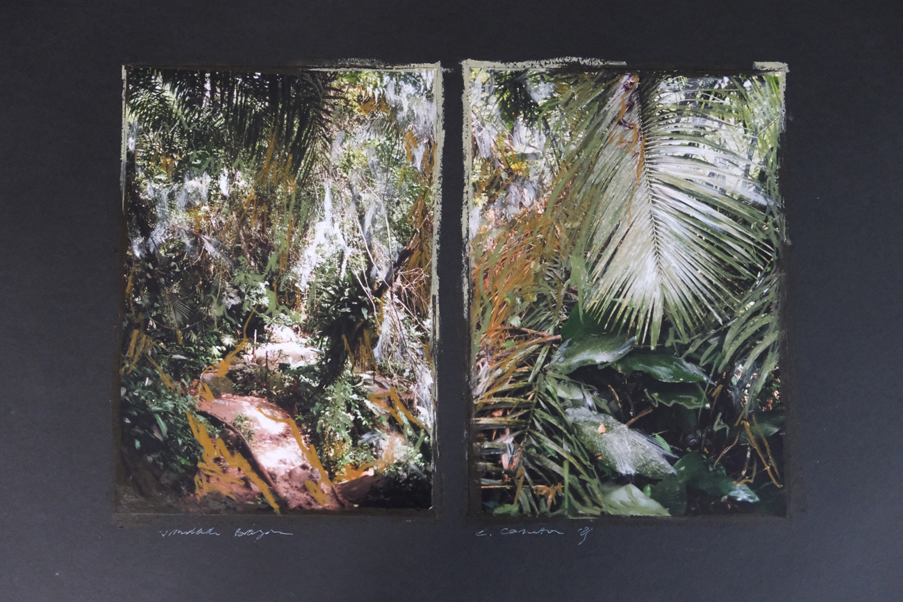 42 x 60 cm