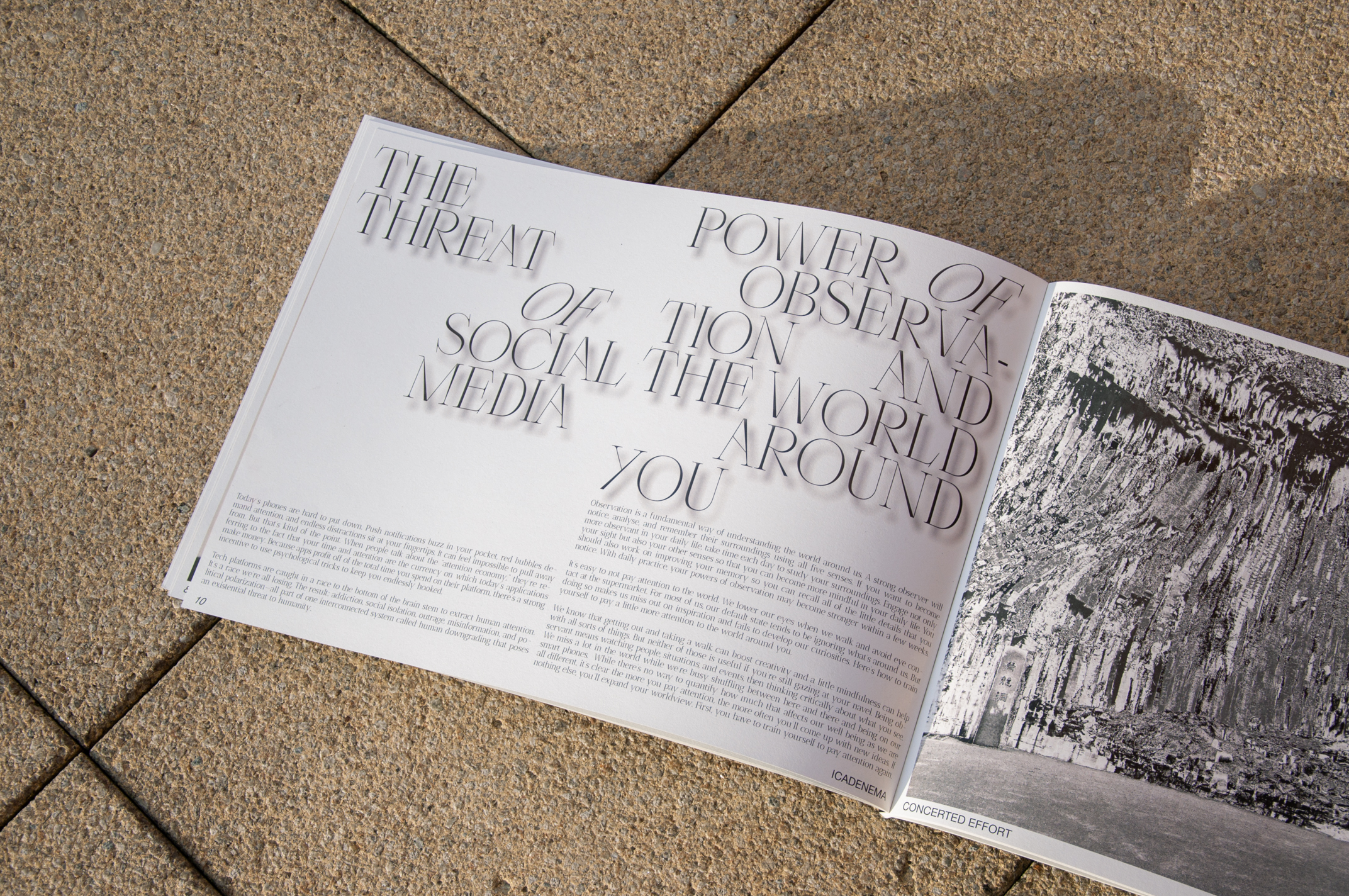 Icadenema Publication