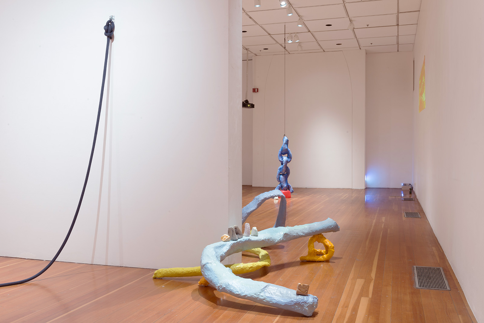 is love a tender thing? at the University Art Gallery at UC Irvine. April 28 - May 12, 2018.