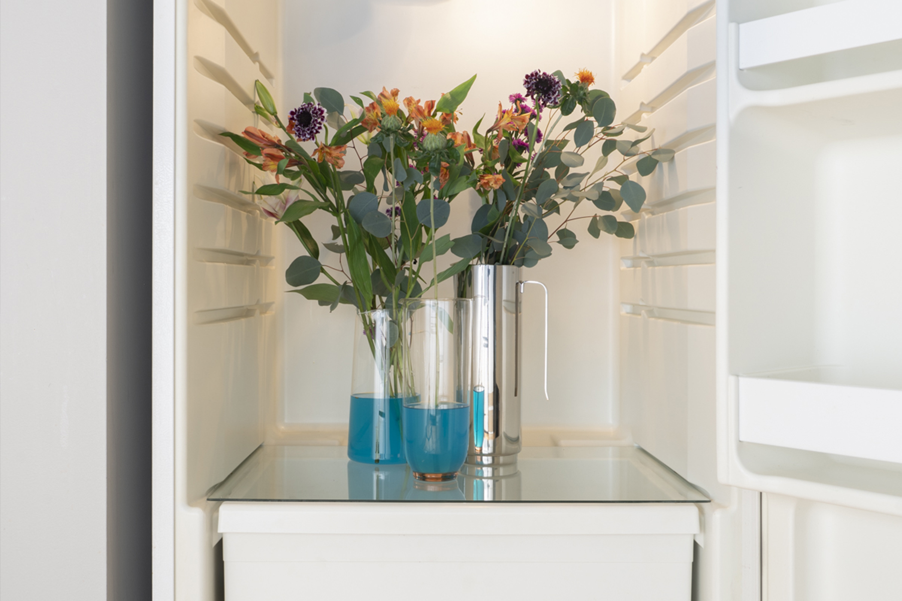 Interior Irruptions exhibition view, Photography: Jesse Meredith