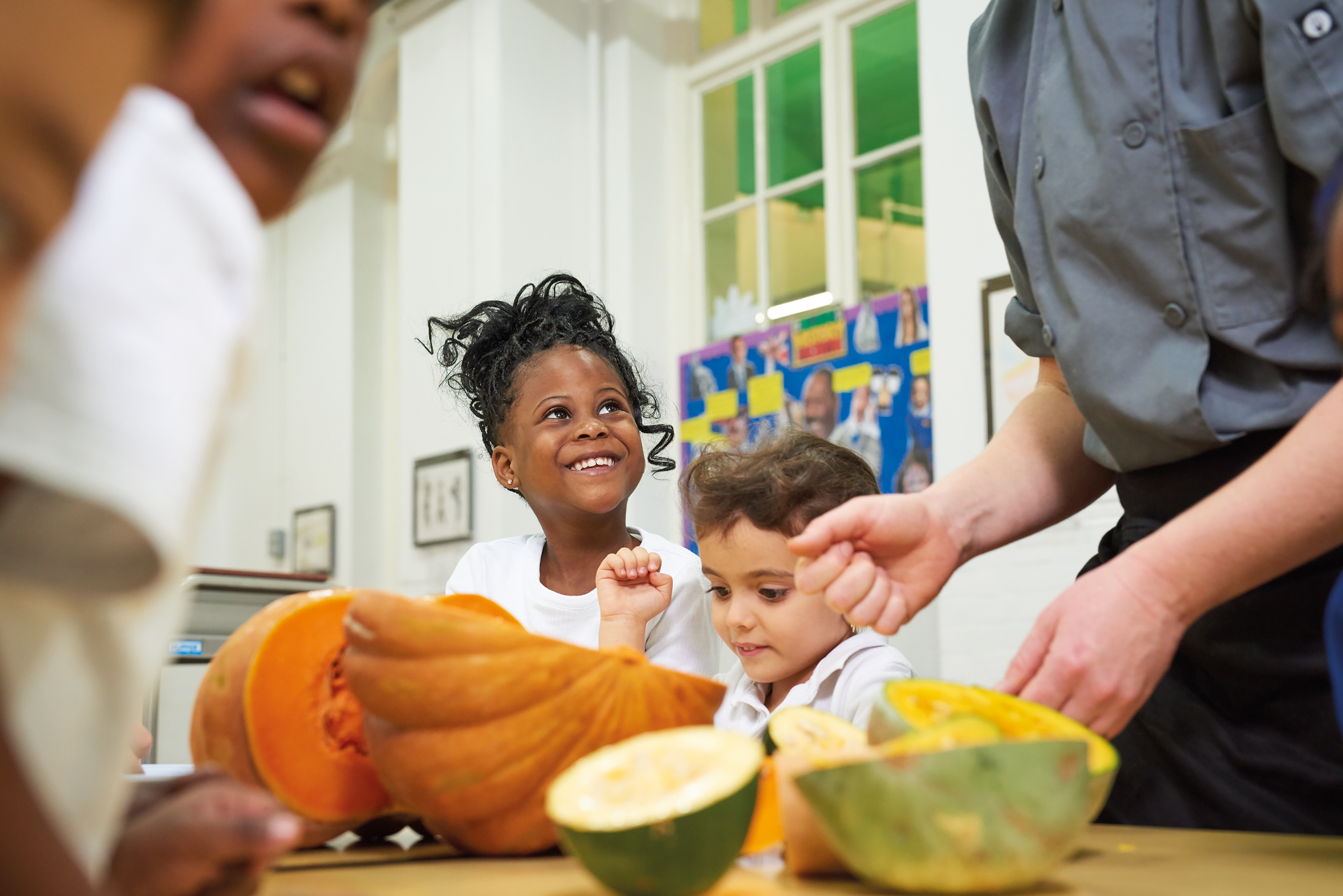 Exploring food at Mandeville Primary School, November 2016
