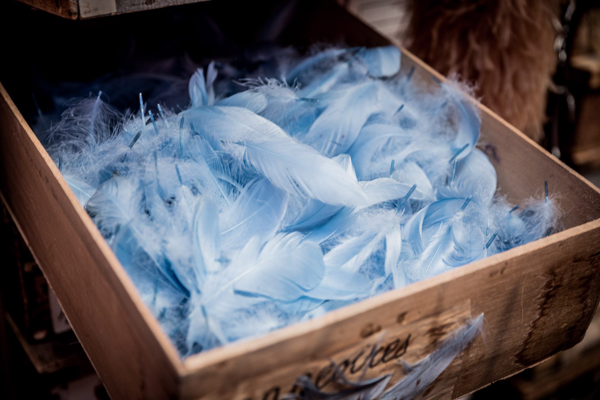 Maison Février – Paris, 2018