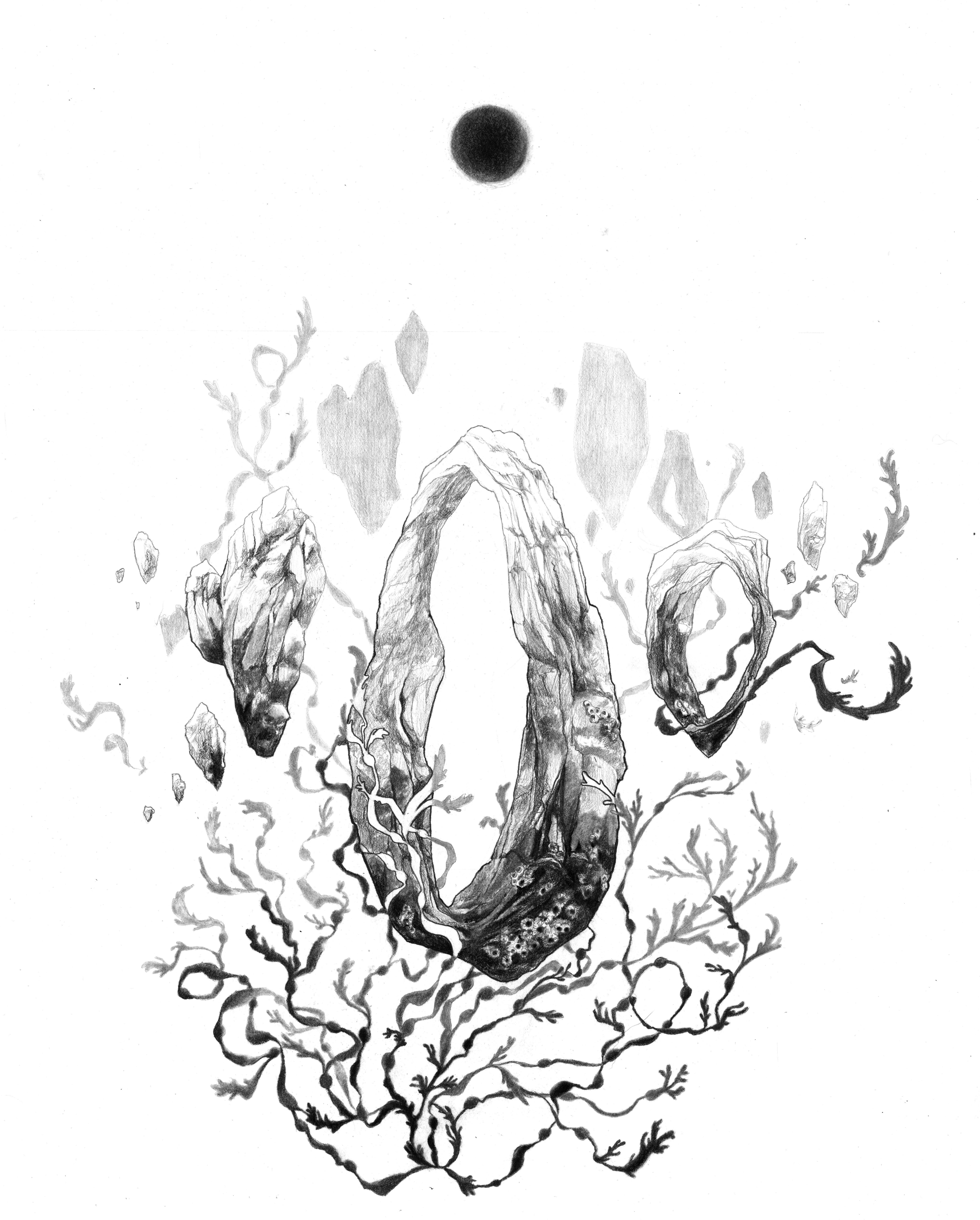 Weathered, graphite and charcoal, 20x16 inches, 2023