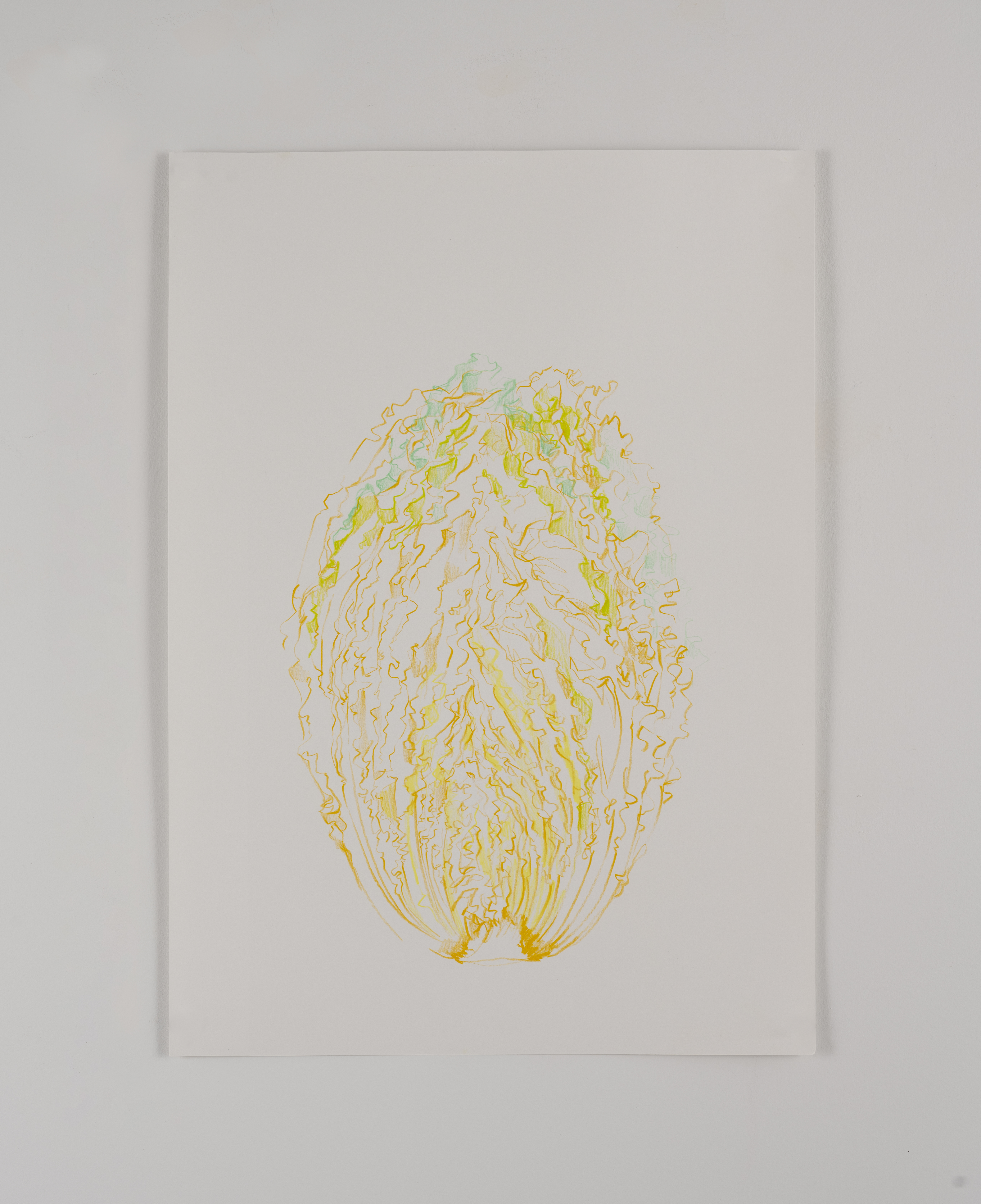 Love, 2023, Colored pencil on paper, 15x10in