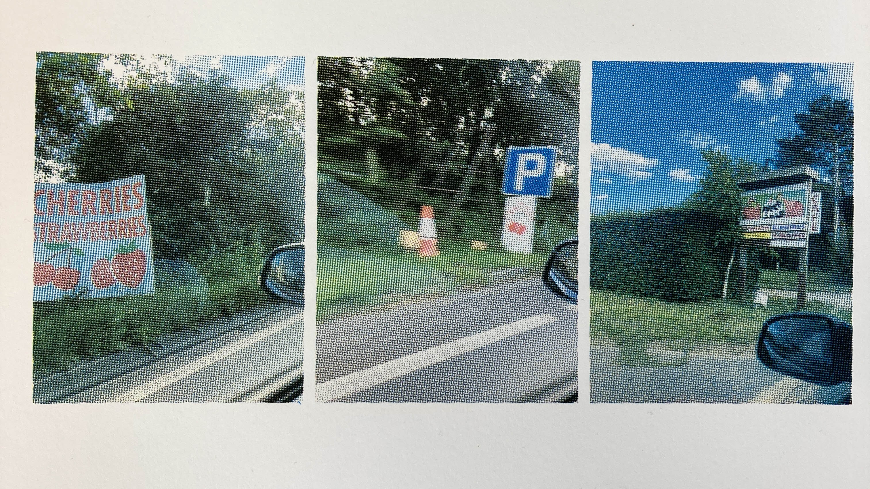 Fruit Stalls - 2022 - Screenprint