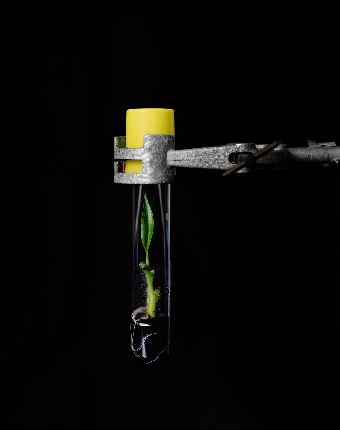 Yann Mingard: Deposit