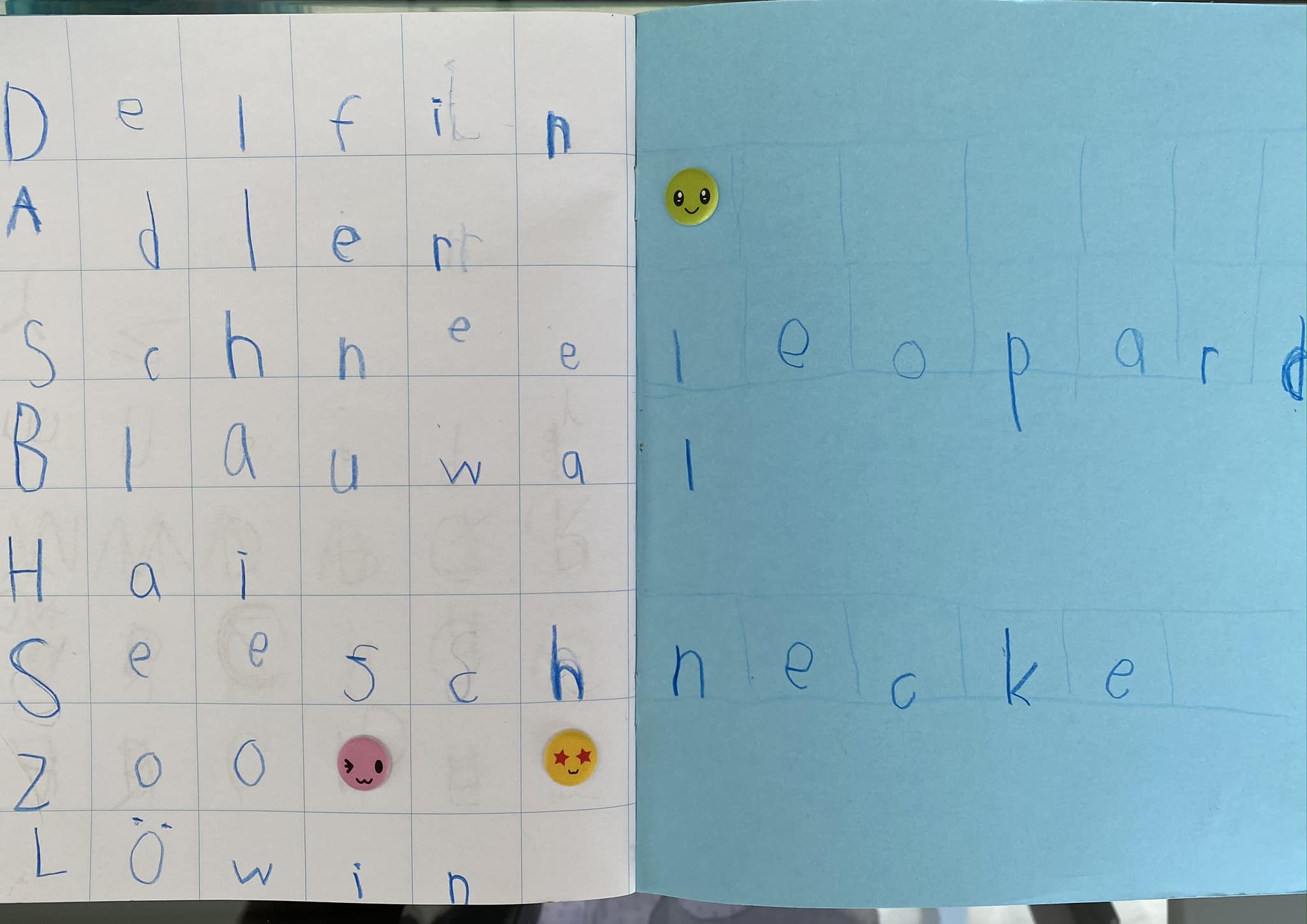 Z is for Zoo. Daniel.