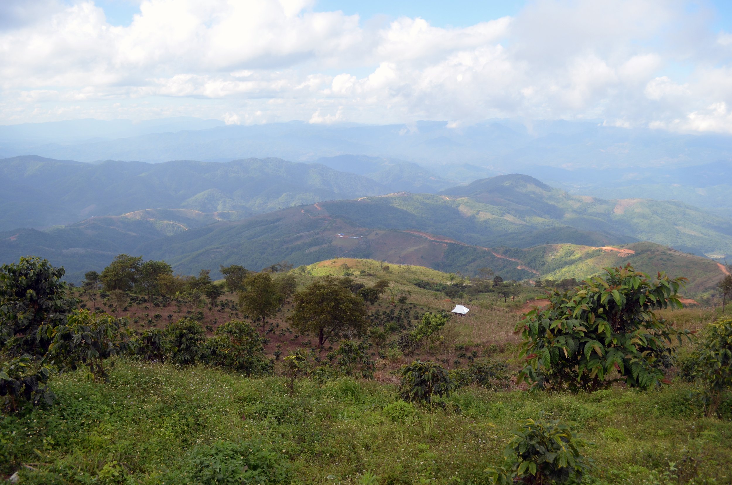  Golden Triangle, Northern Thailand, 2016