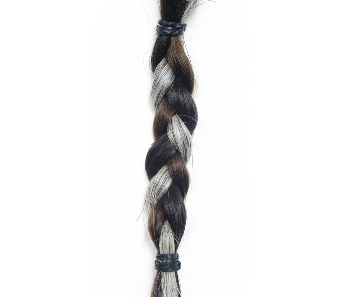 Abuela, madre, hija (Grandmother, mother, daughter), 2005 hair from my mother, grandmother and myself, 13 x 3 x 1/2 inch Photo by Roni Mocan