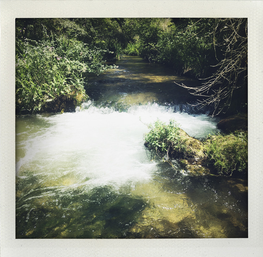 Esparron de Verdon 07/2020