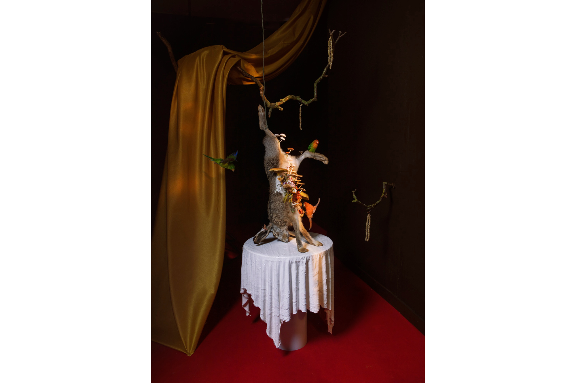 A Still Life of Dead Game and Hunting, 2018, MAS museum