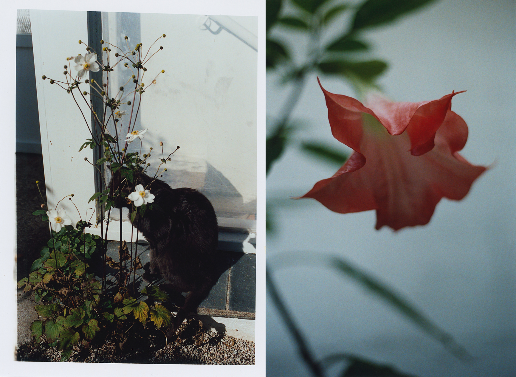 Barbara Hepworth Studio / St Ives